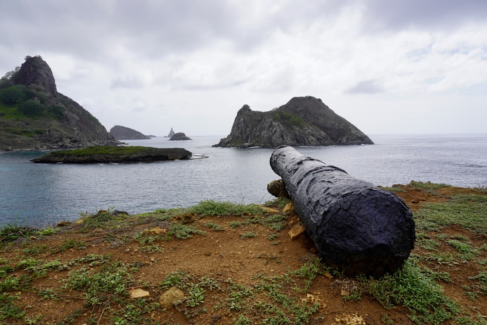 a large pipe laying on top of a lush green hillside