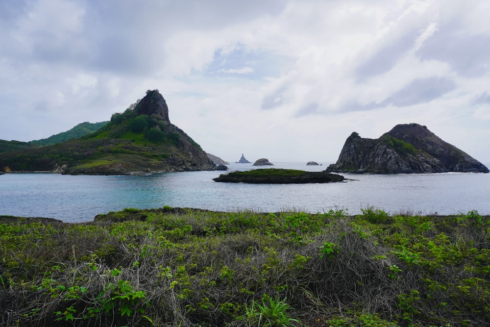 a body of water surrounded by mountains and grass