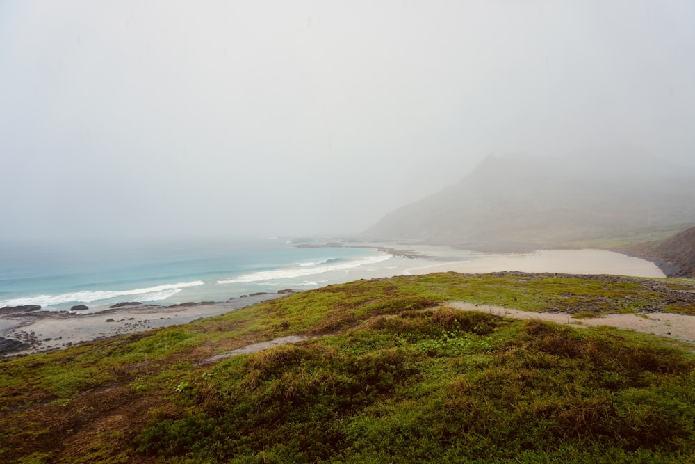 uma colina gramada com uma praia e um oceano ao fundo