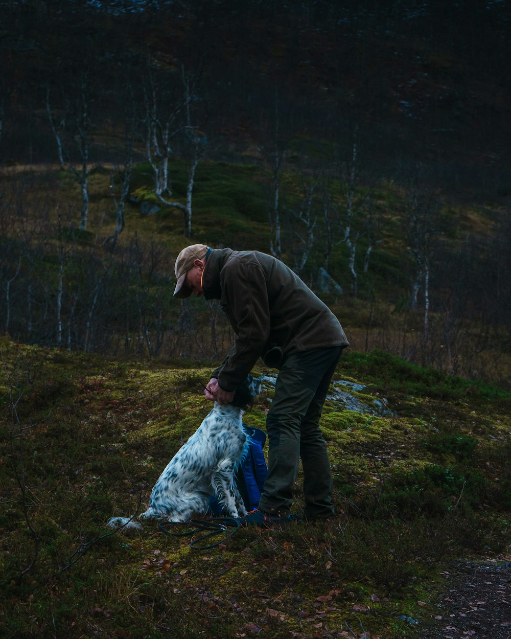 a man is grooming a dog in a field