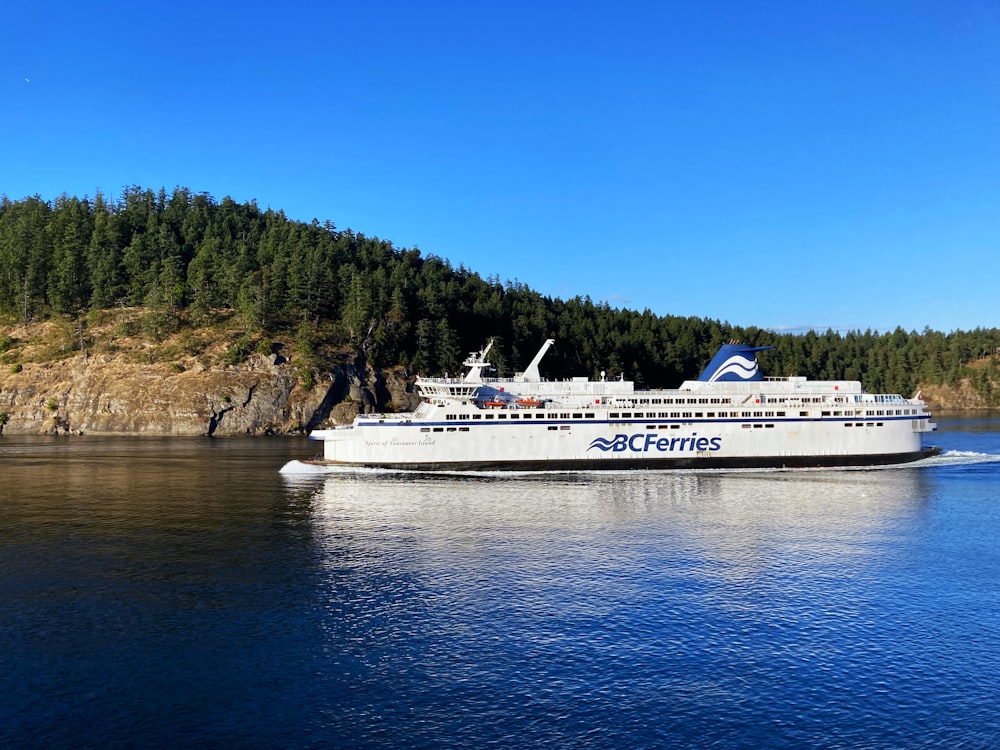 a cruise ship sailing on the water near a forest