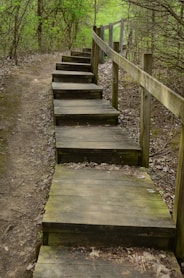 a set of wooden steps leading to a forest