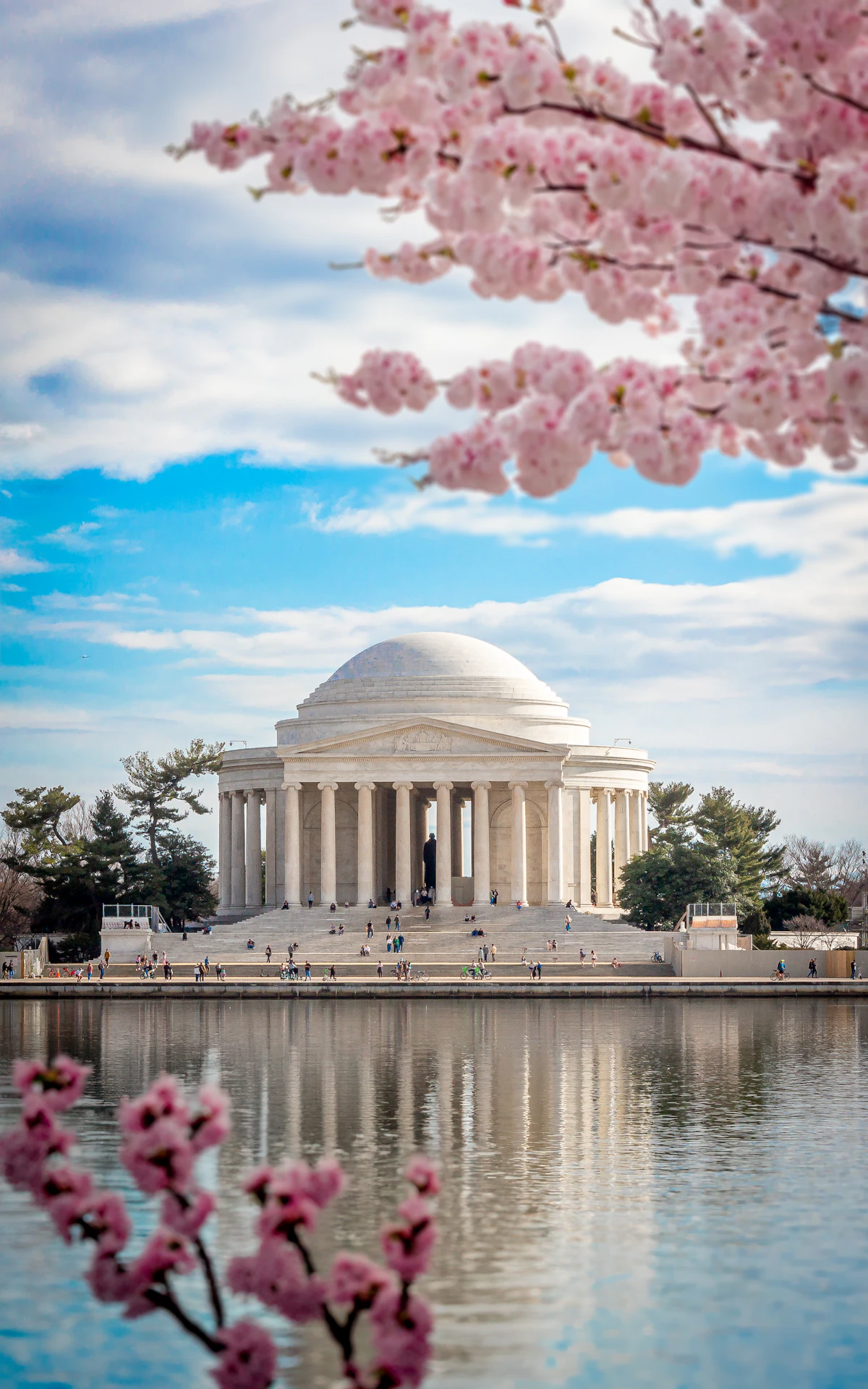 Cherry blossoms framing the Jefferson Memorial across the Tidal Basin in Washington, D.C.