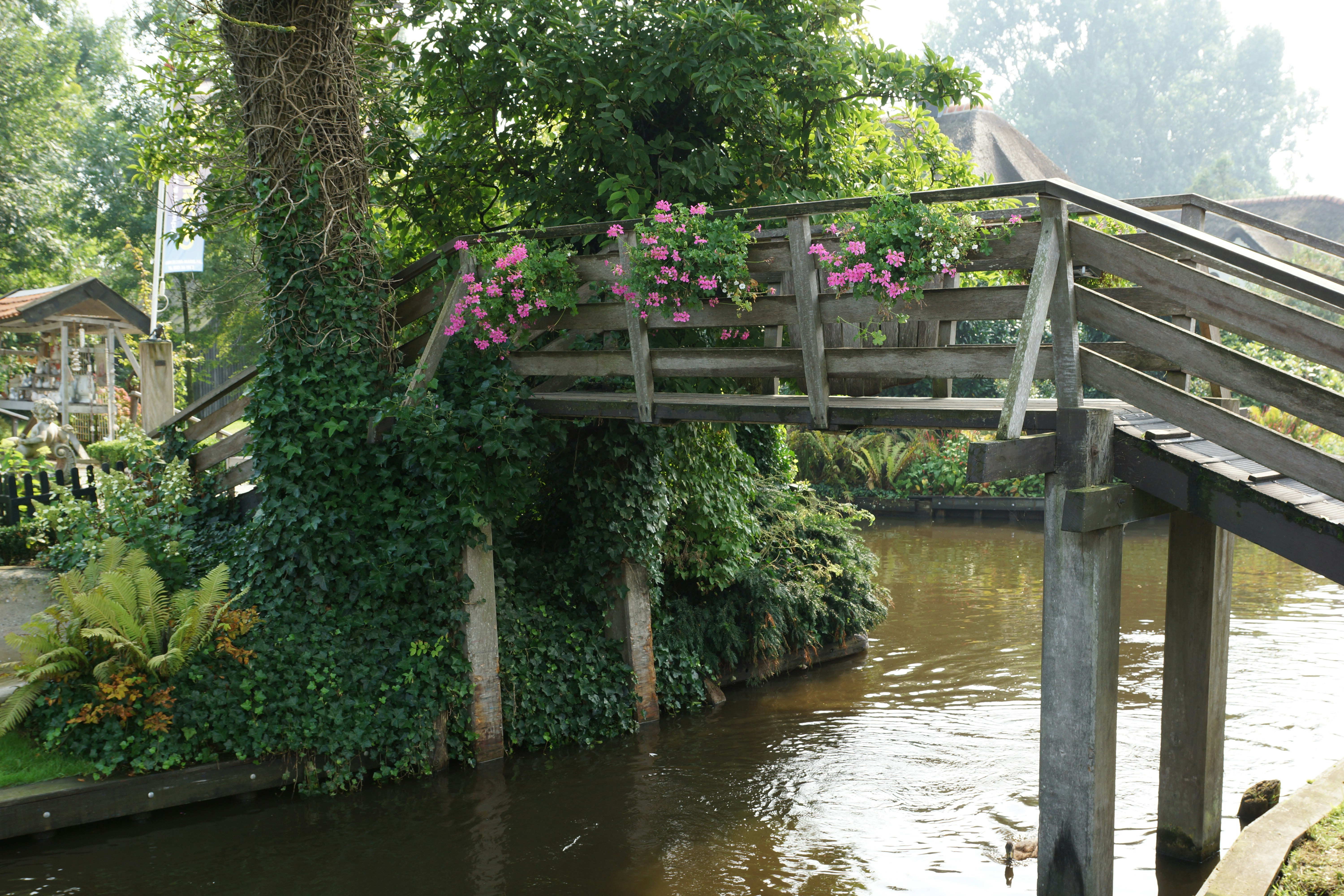 a wooden bridge over a body of water, 