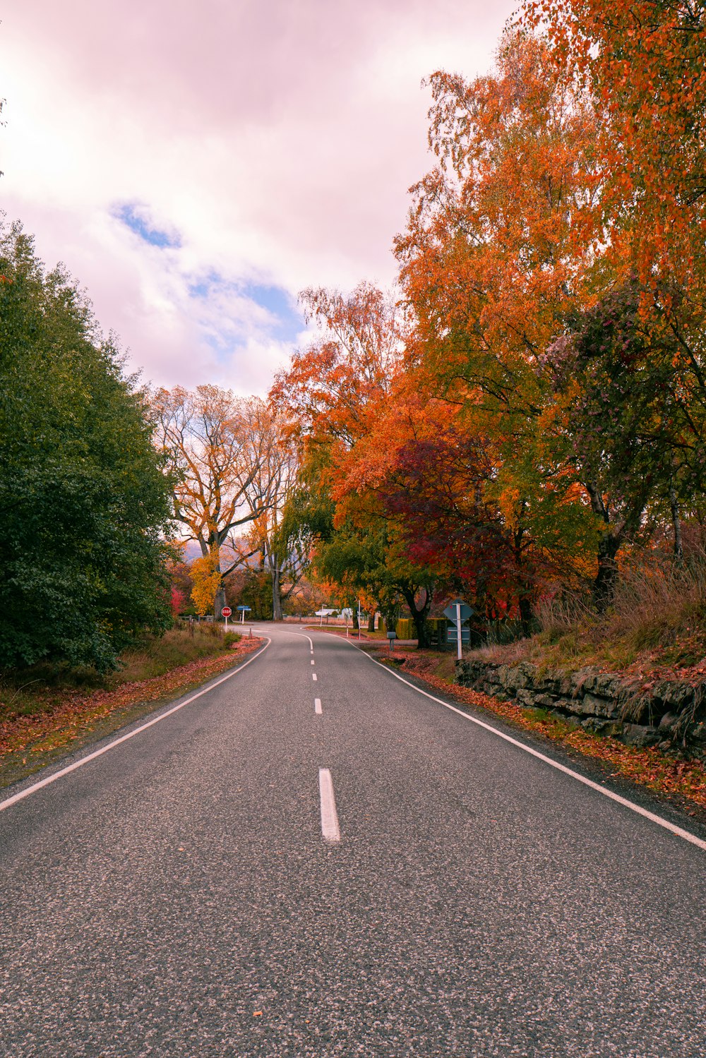 an empty road surrounded by trees with orange leaves