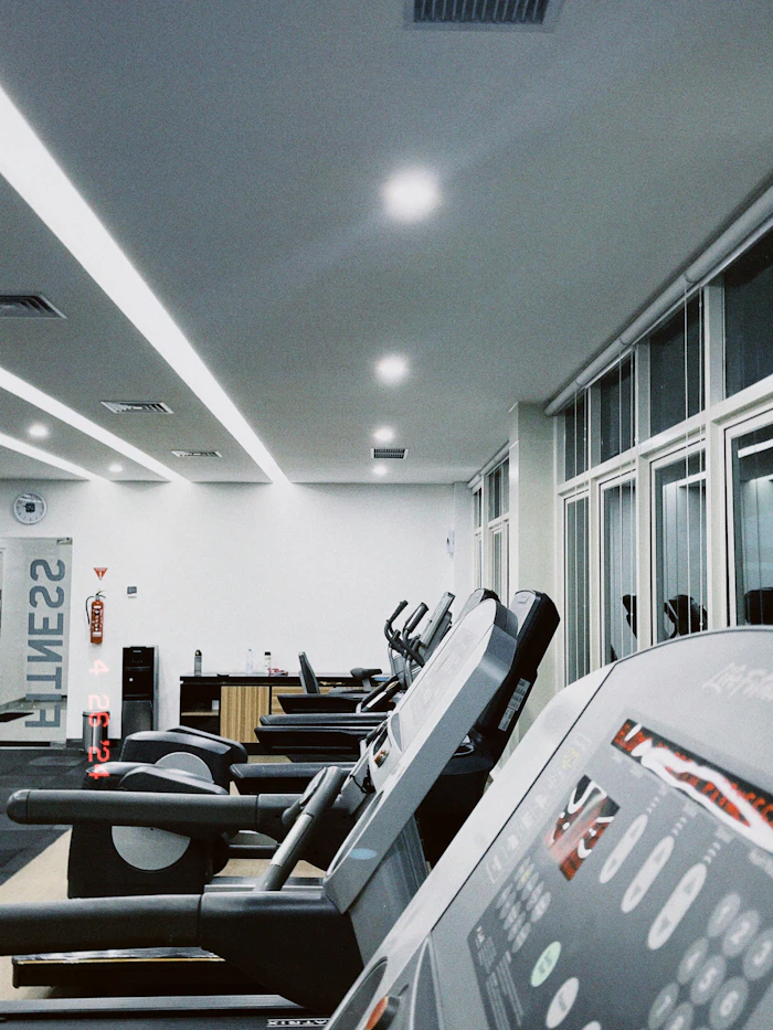 Fila de trotadoras y elípticas en la zona de cardio, junto a los ventanales