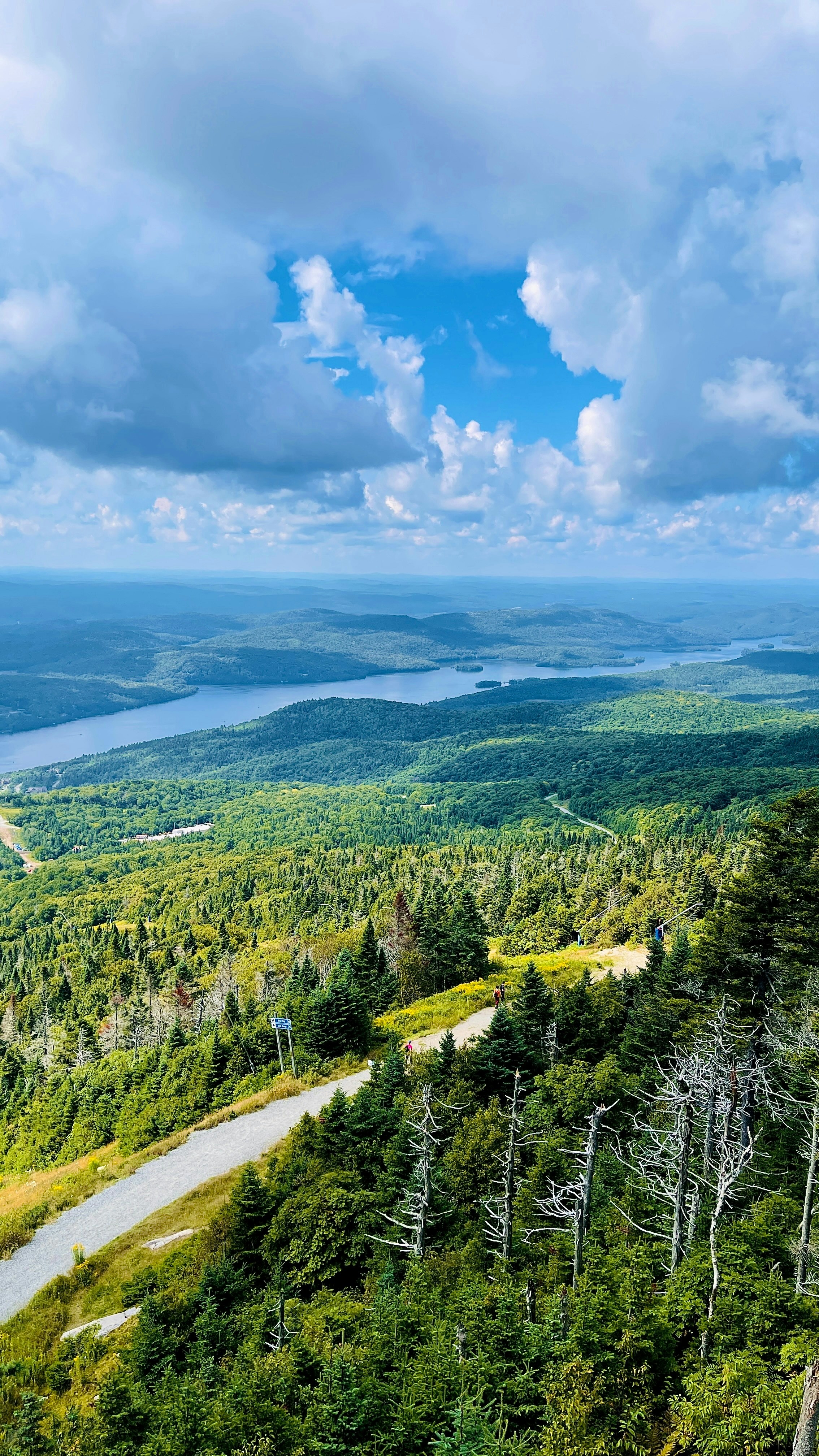 Photo by iphonesnaps