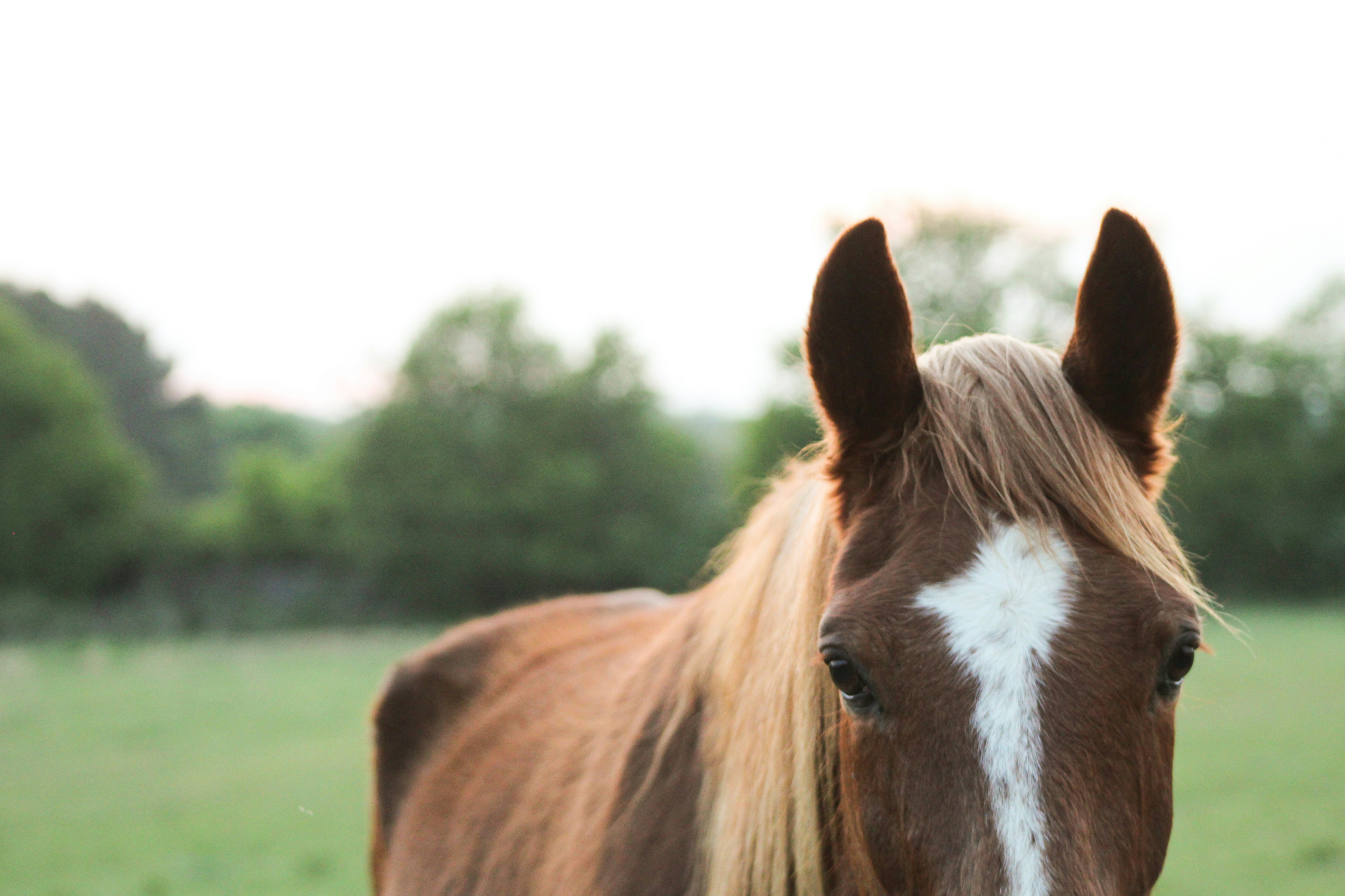 Photo by nitrousparrot