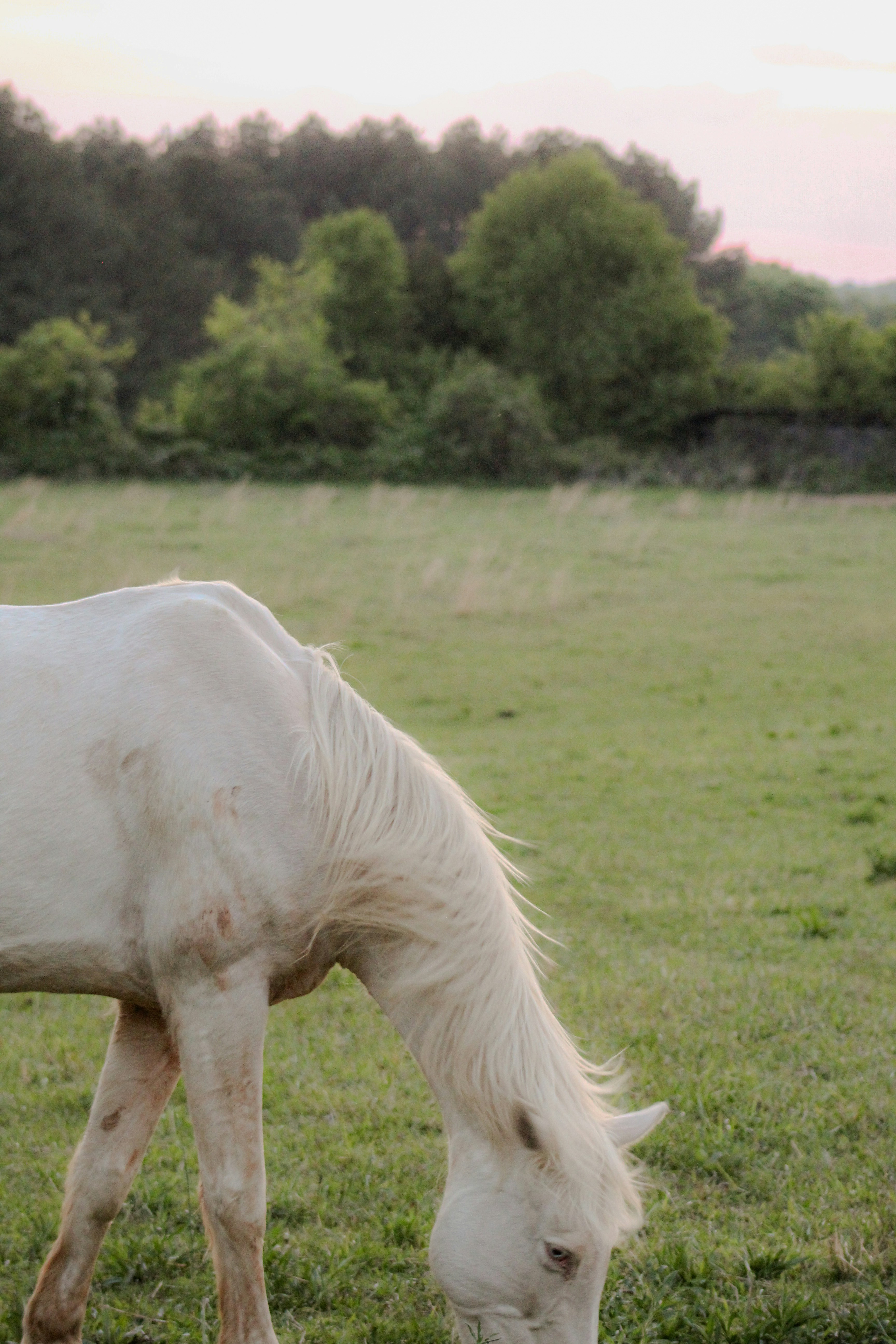 Photo by nitrousparrot