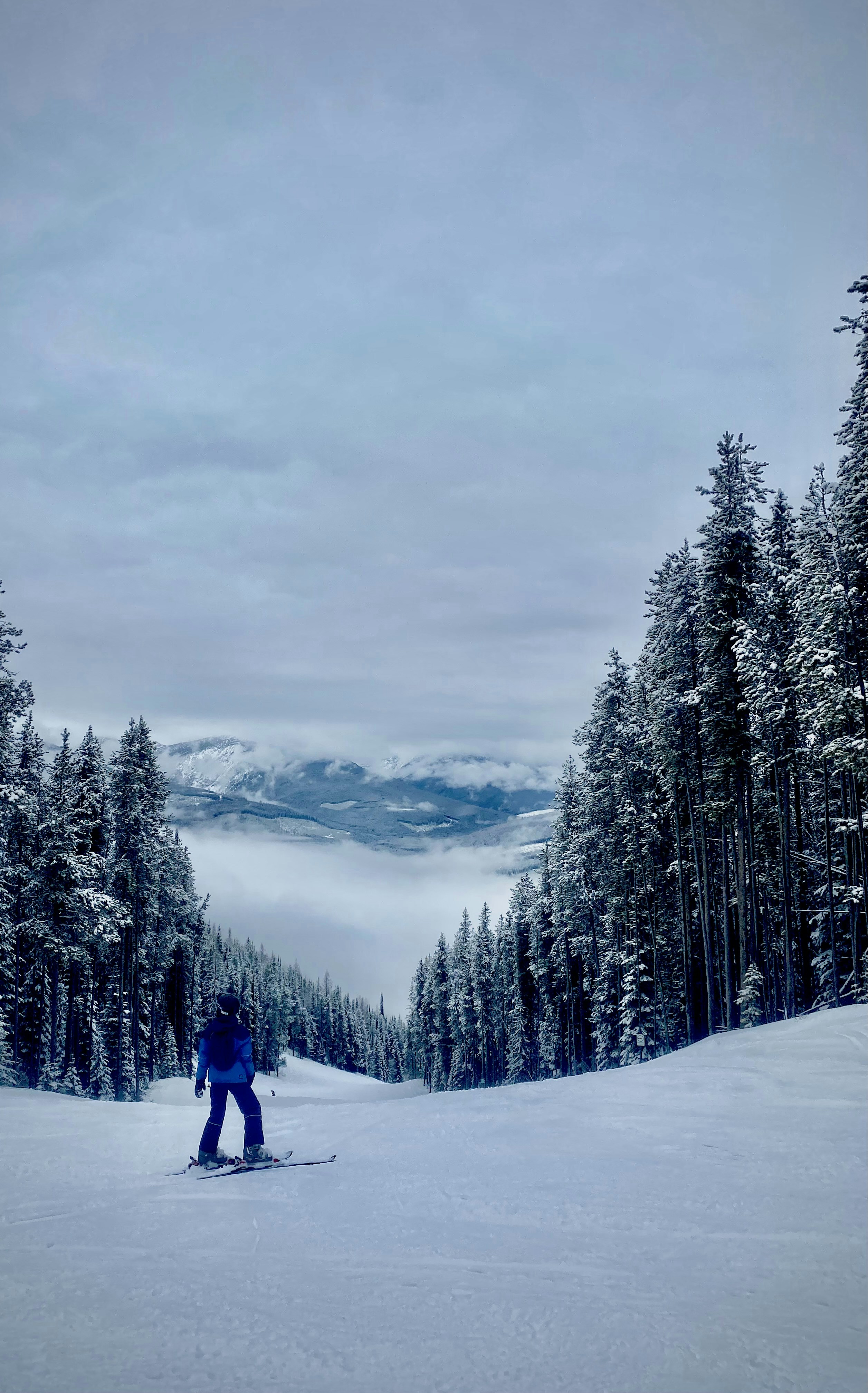 Photo by brooklynkorol