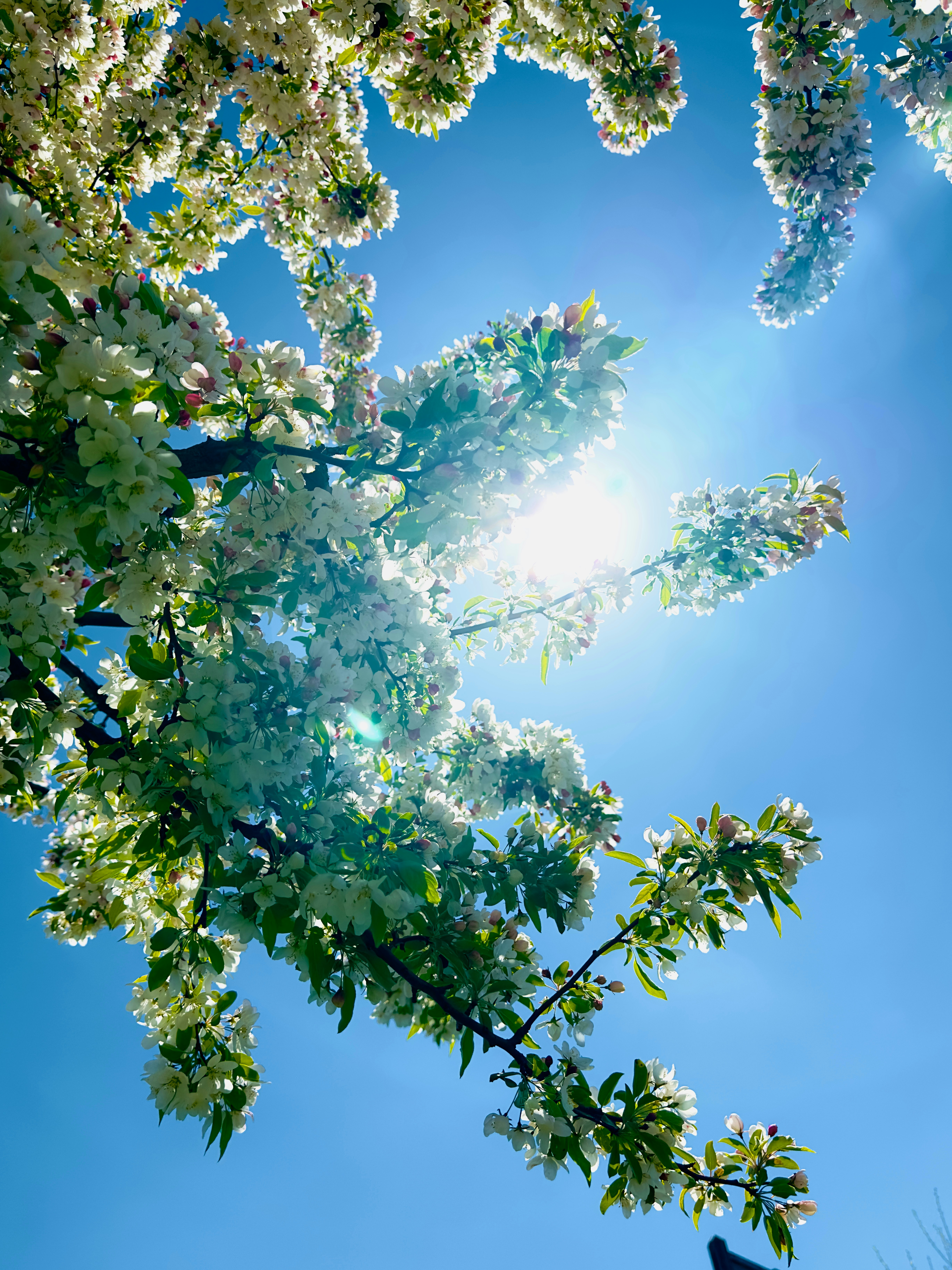 Photo by bellavvargas