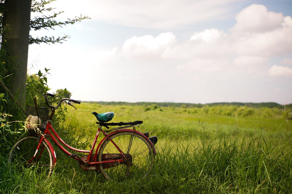 a red bike parked next to a tree on a lush green field