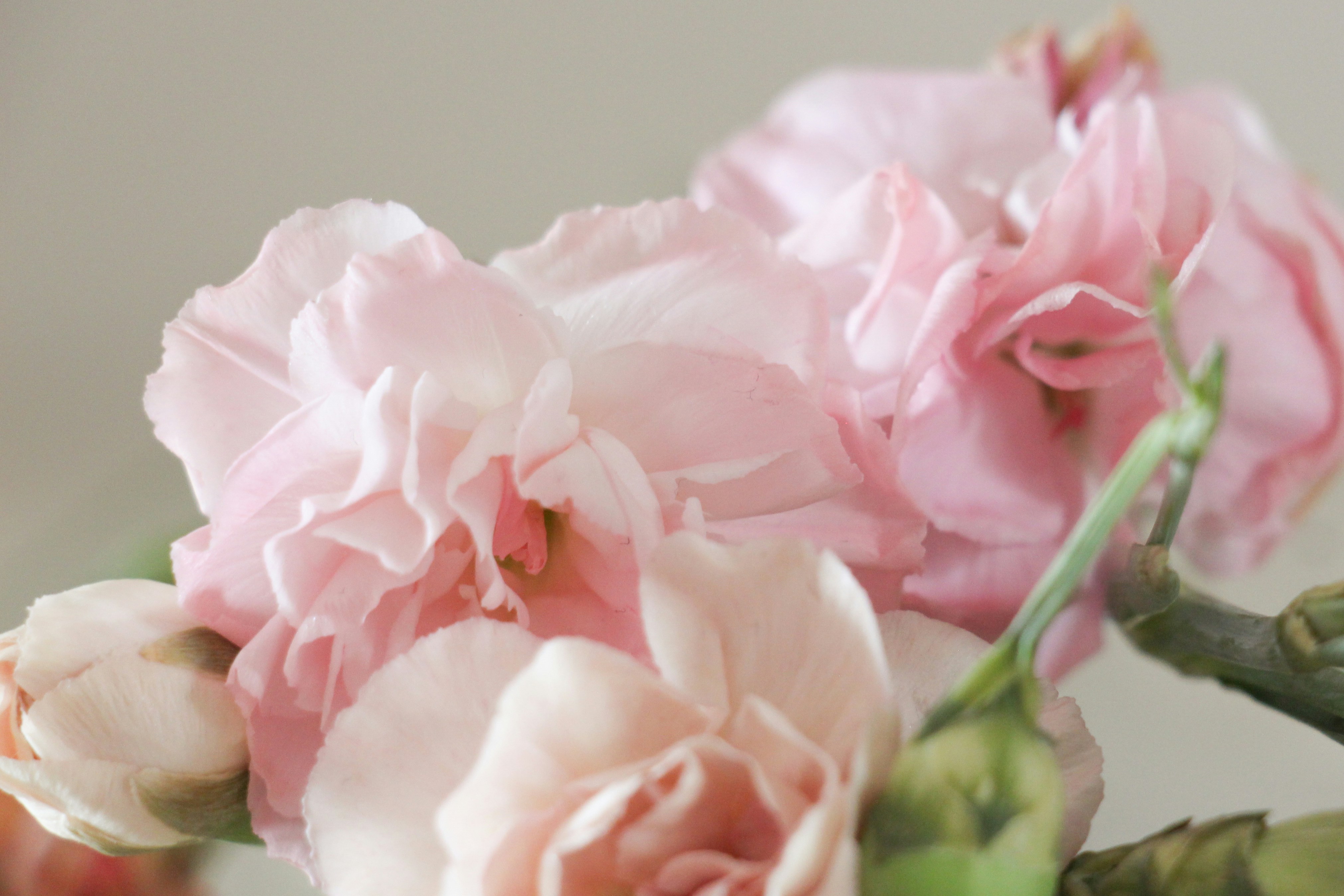 Photo by hayleypeachey