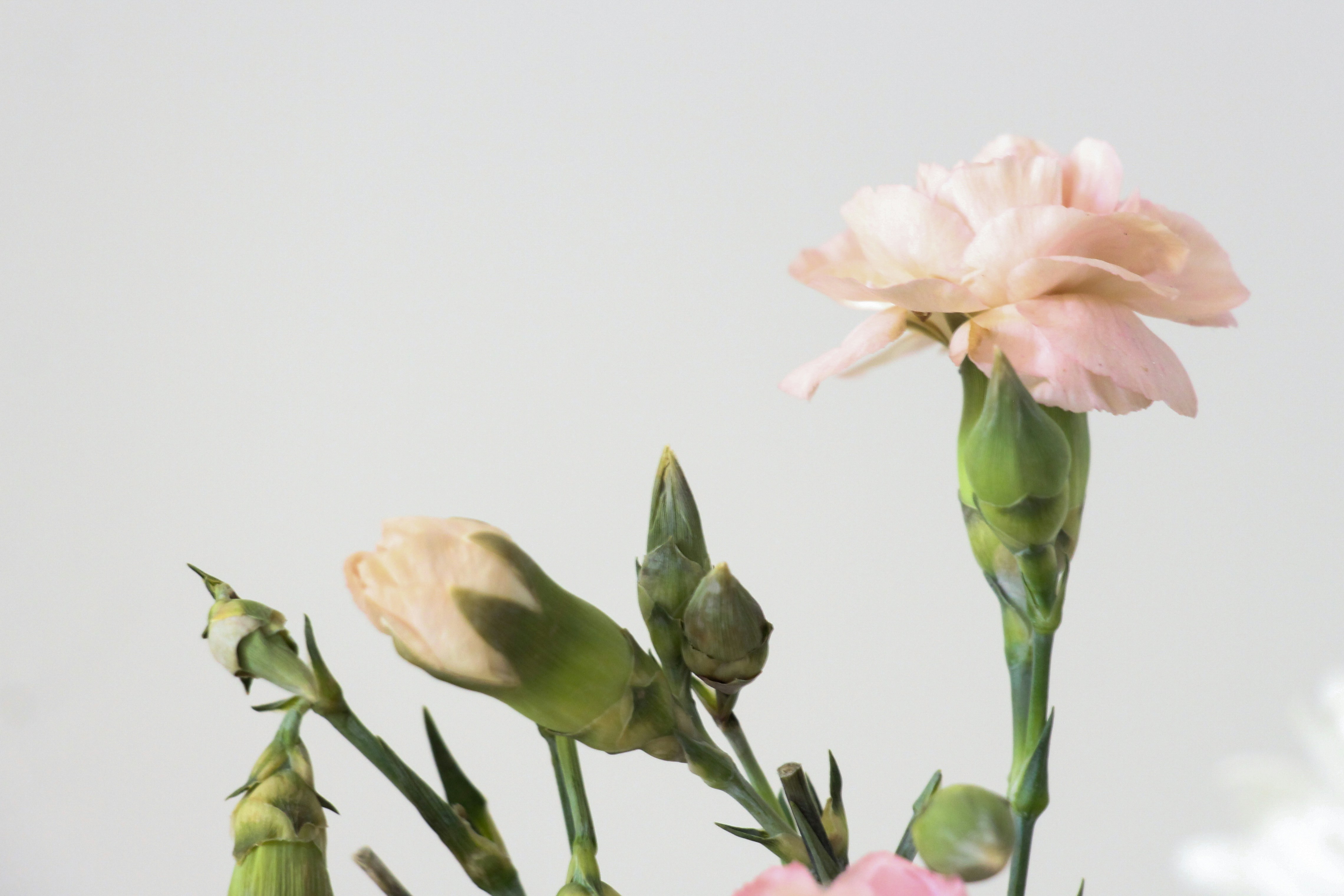 Photo by hayleypeachey