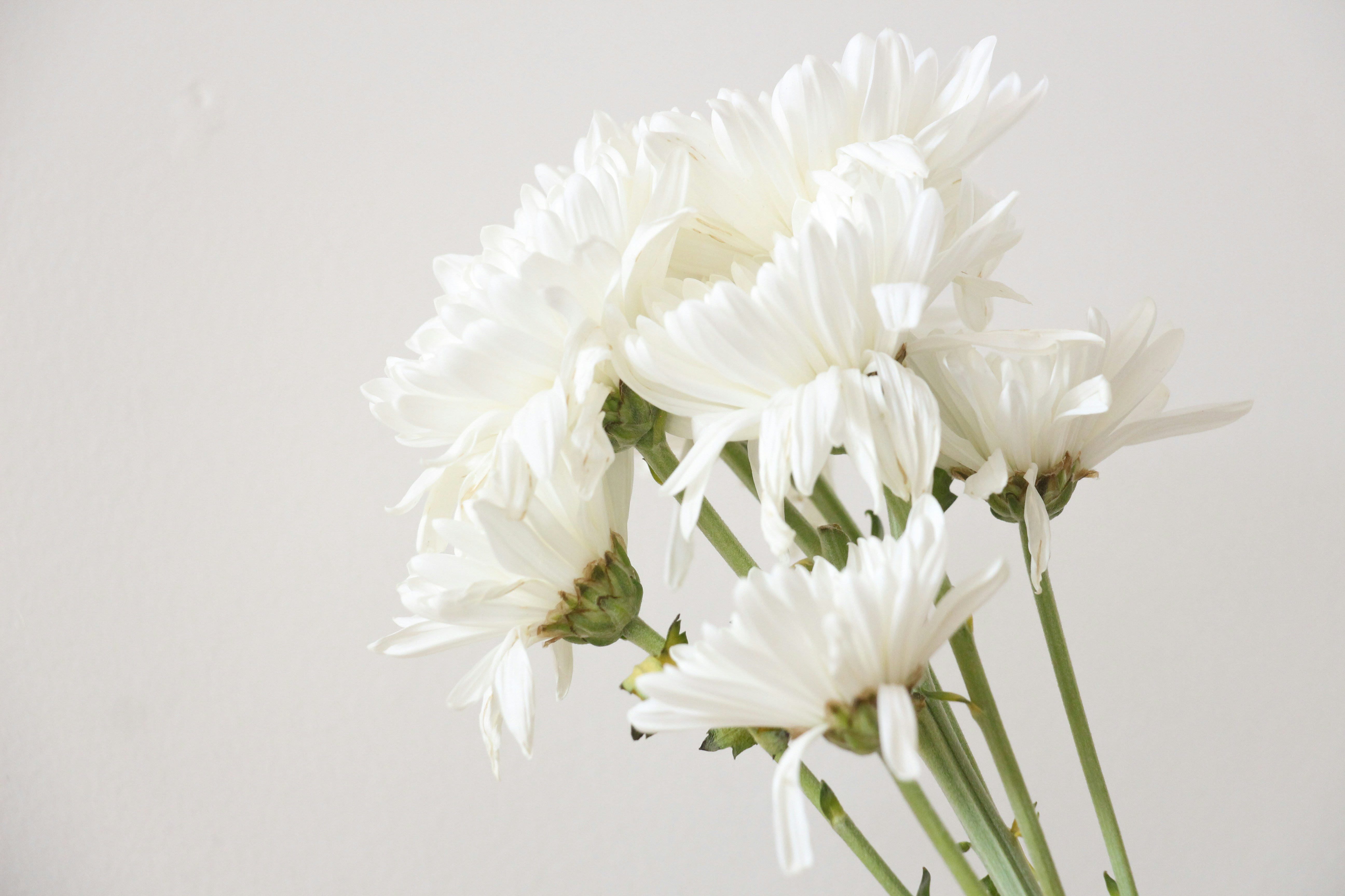 Photo by hayleypeachey