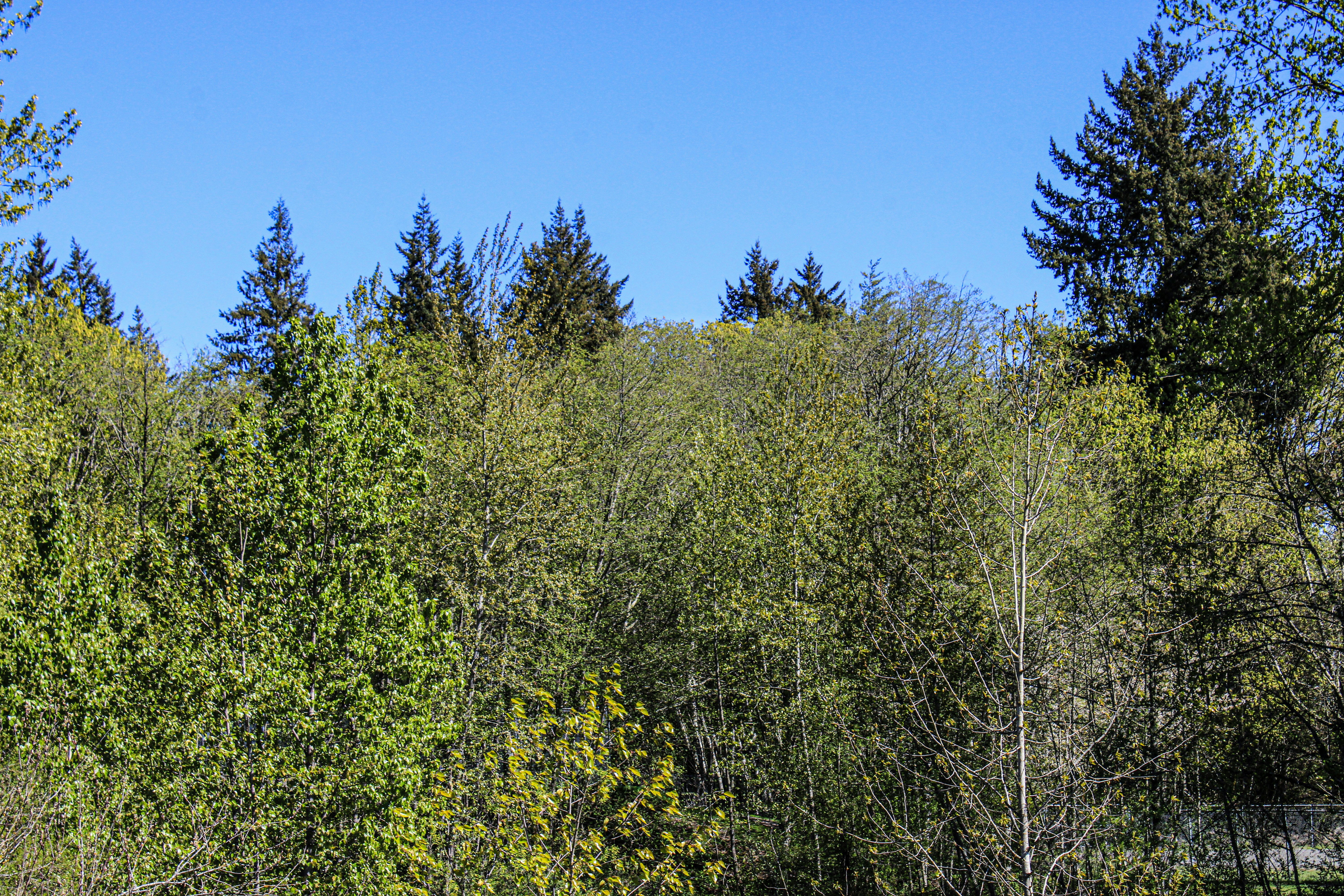 Photo by prphotography262