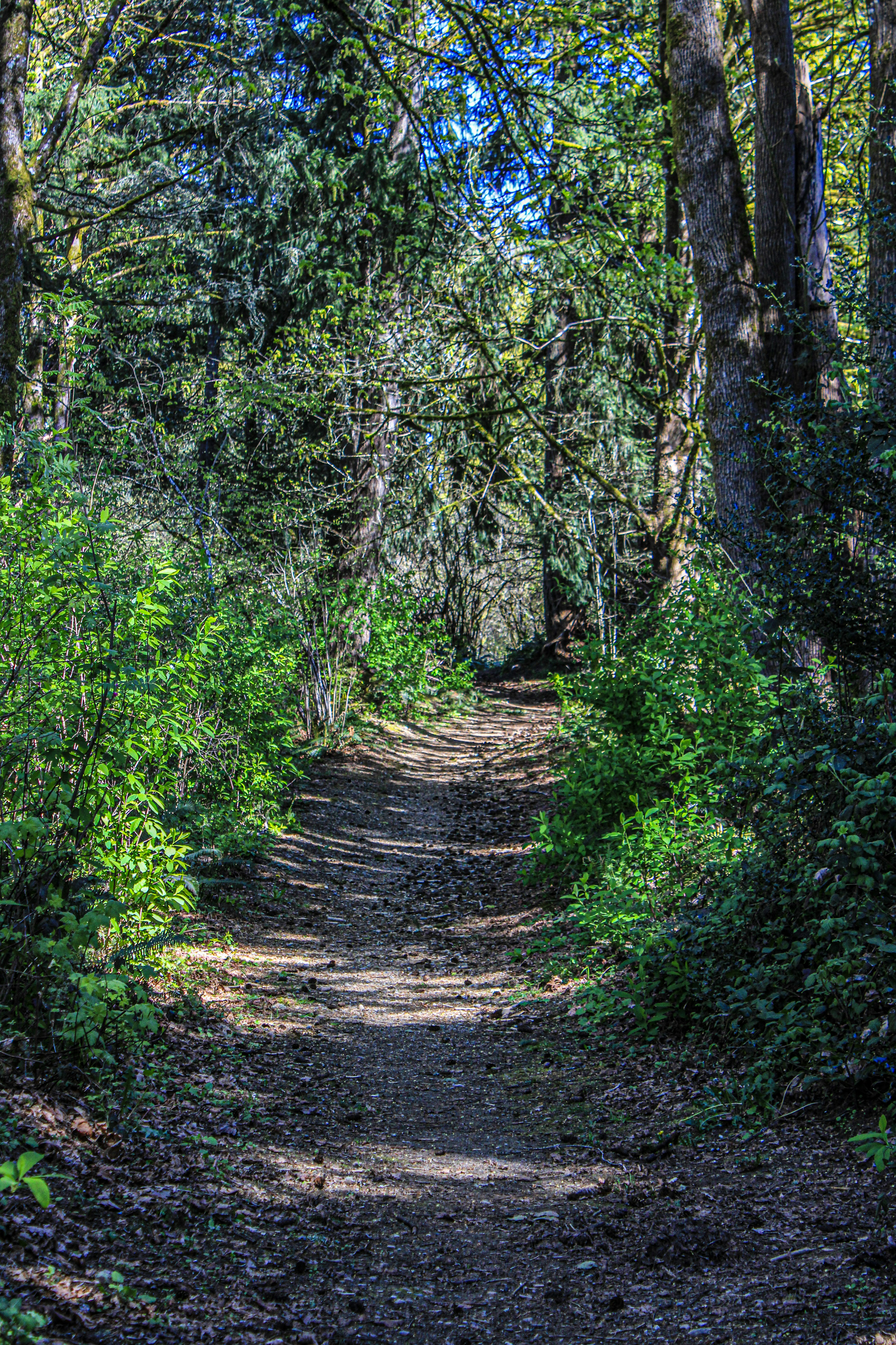 Photo by prphotography262