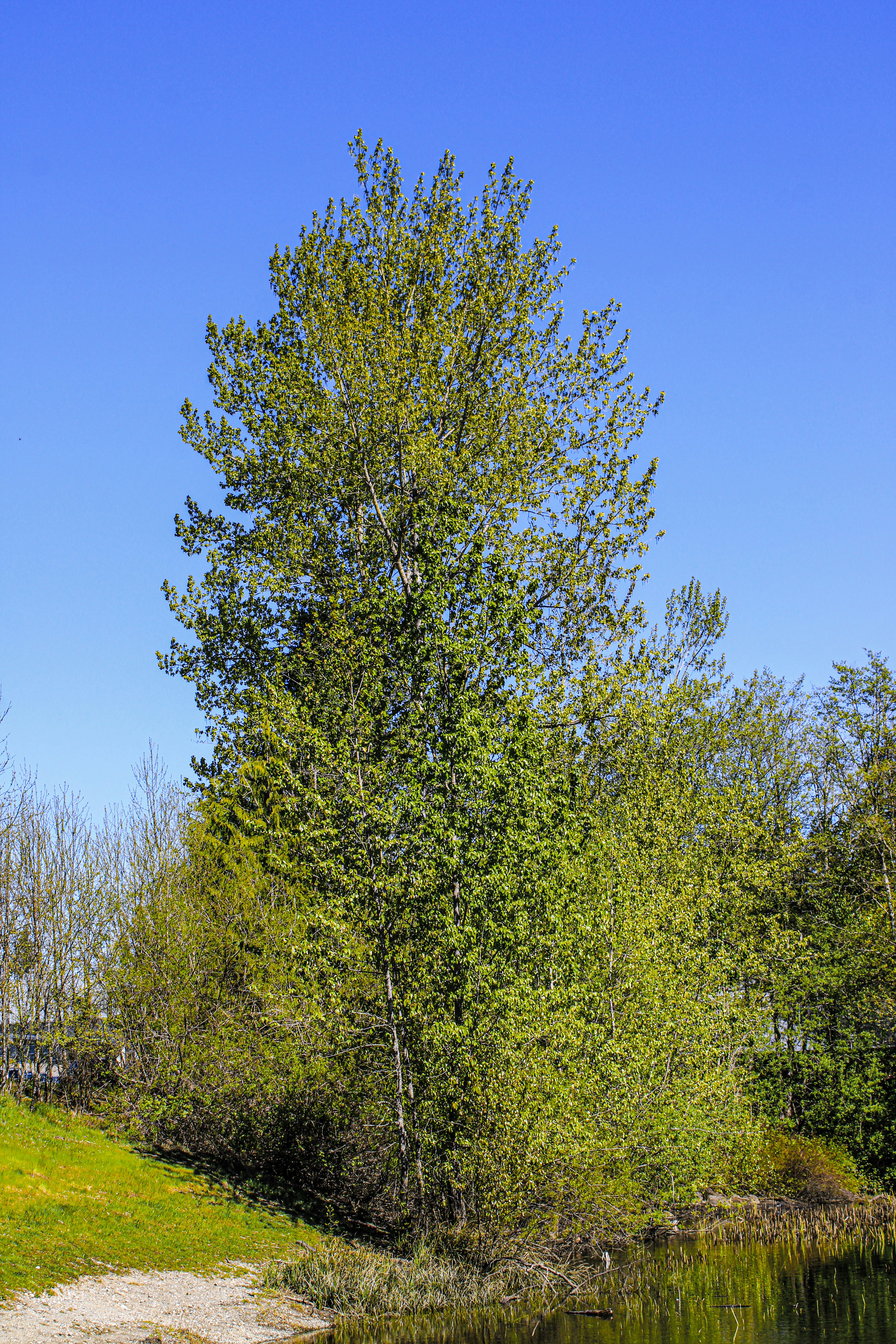 Photo by prphotography262