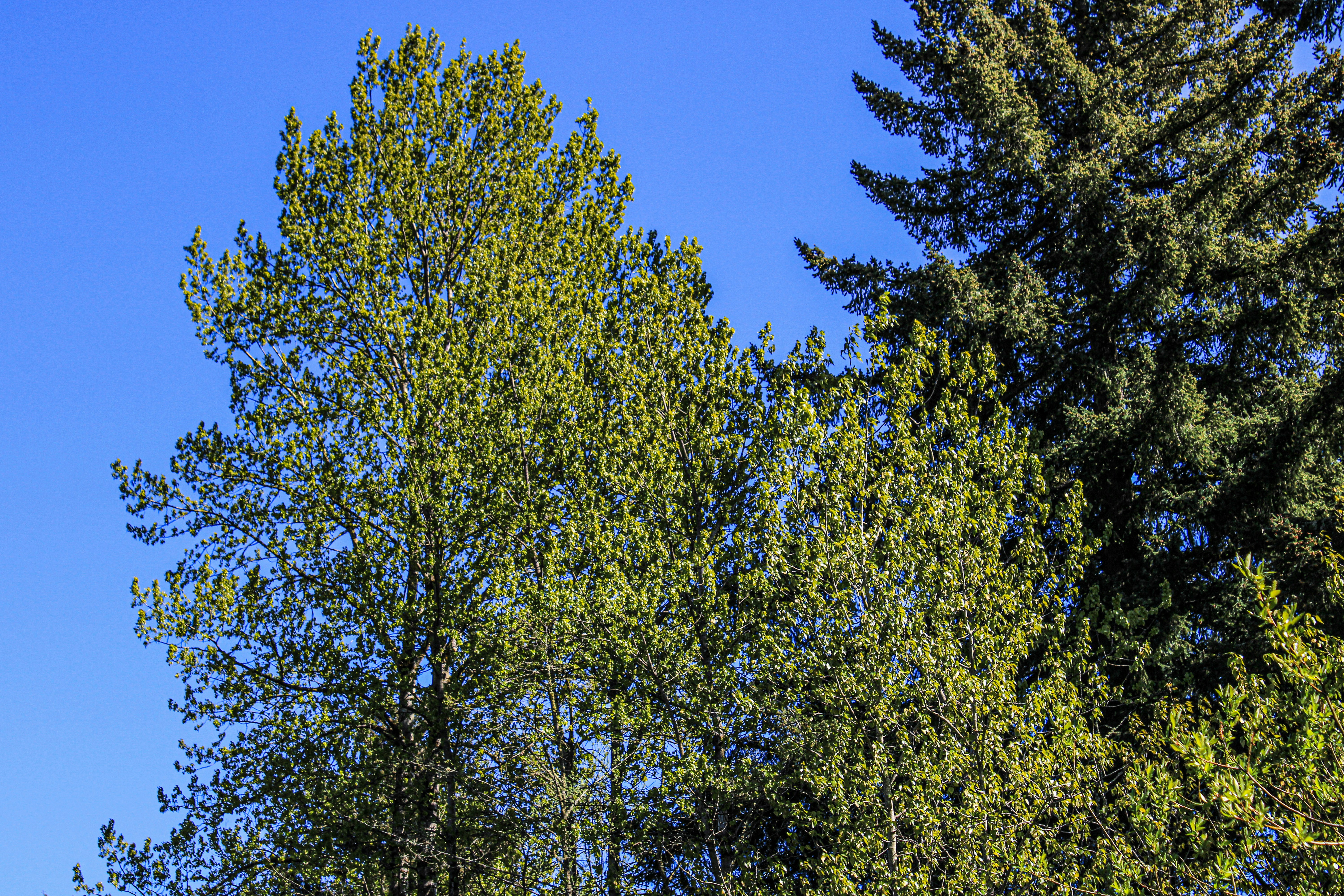 Photo by prphotography262