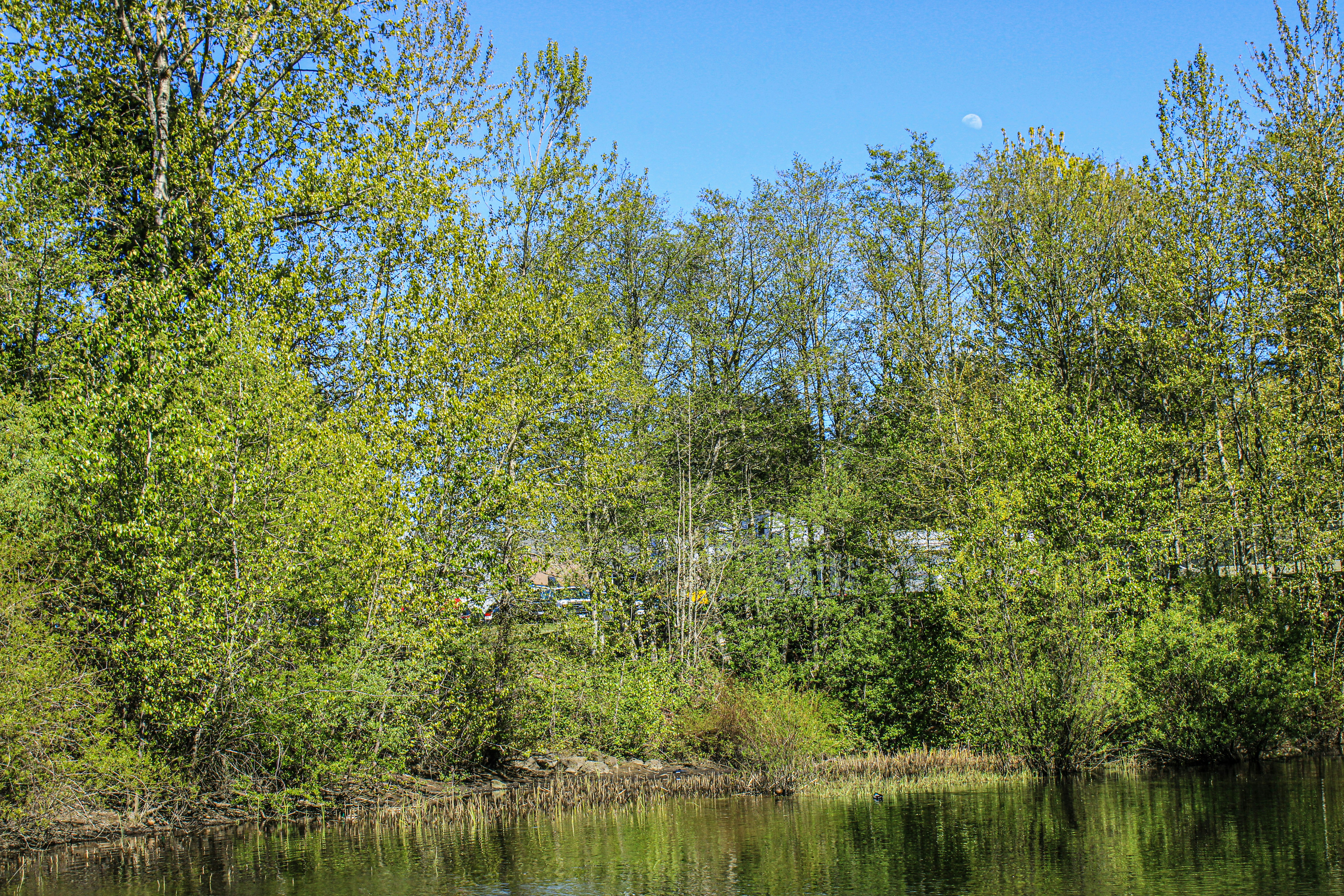 Photo by prphotography262