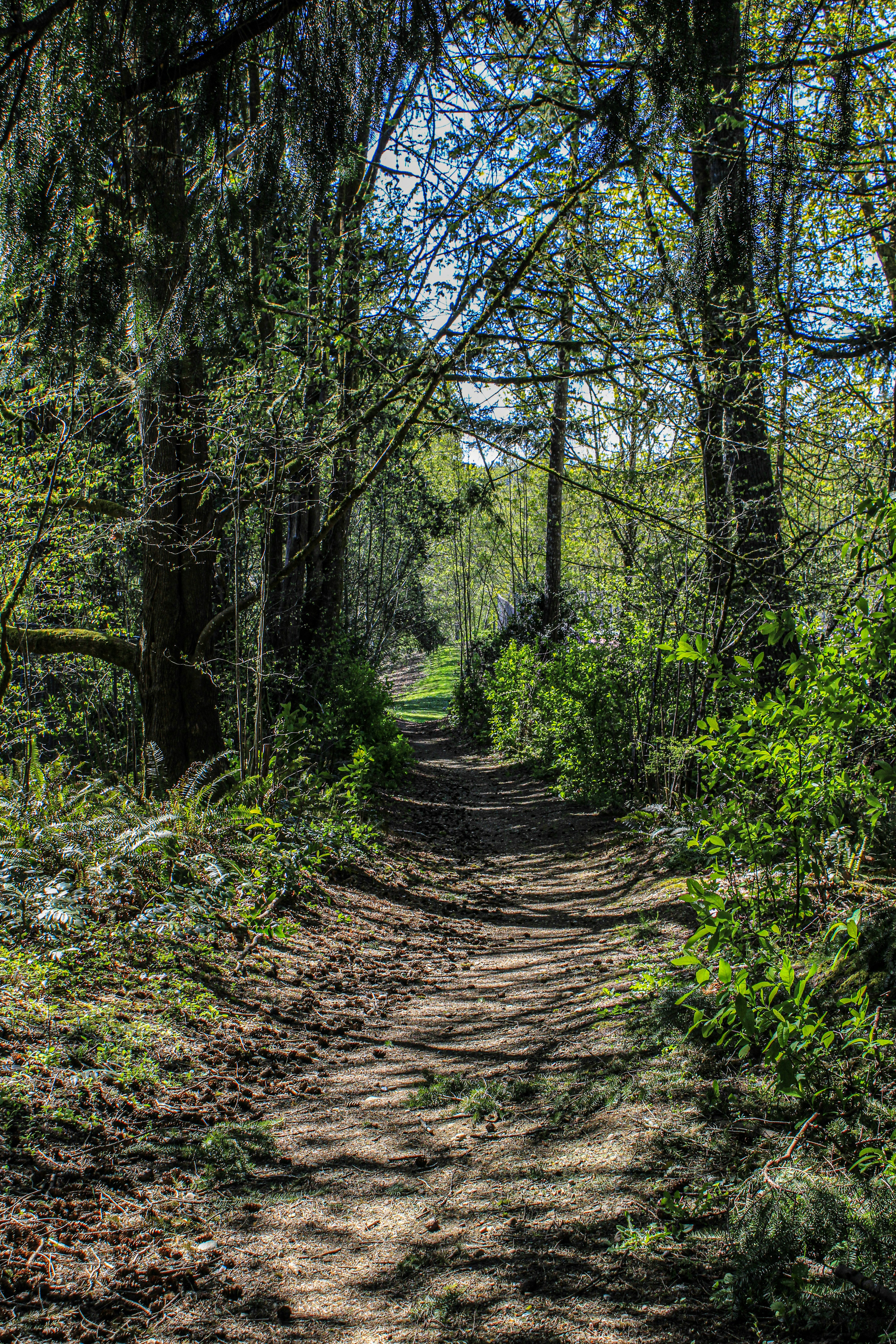 Photo by prphotography262