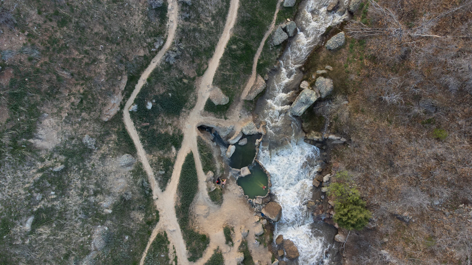 森を蛇行する川を上空から見た写真。人生の中間点と分岐を象徴するイメージ