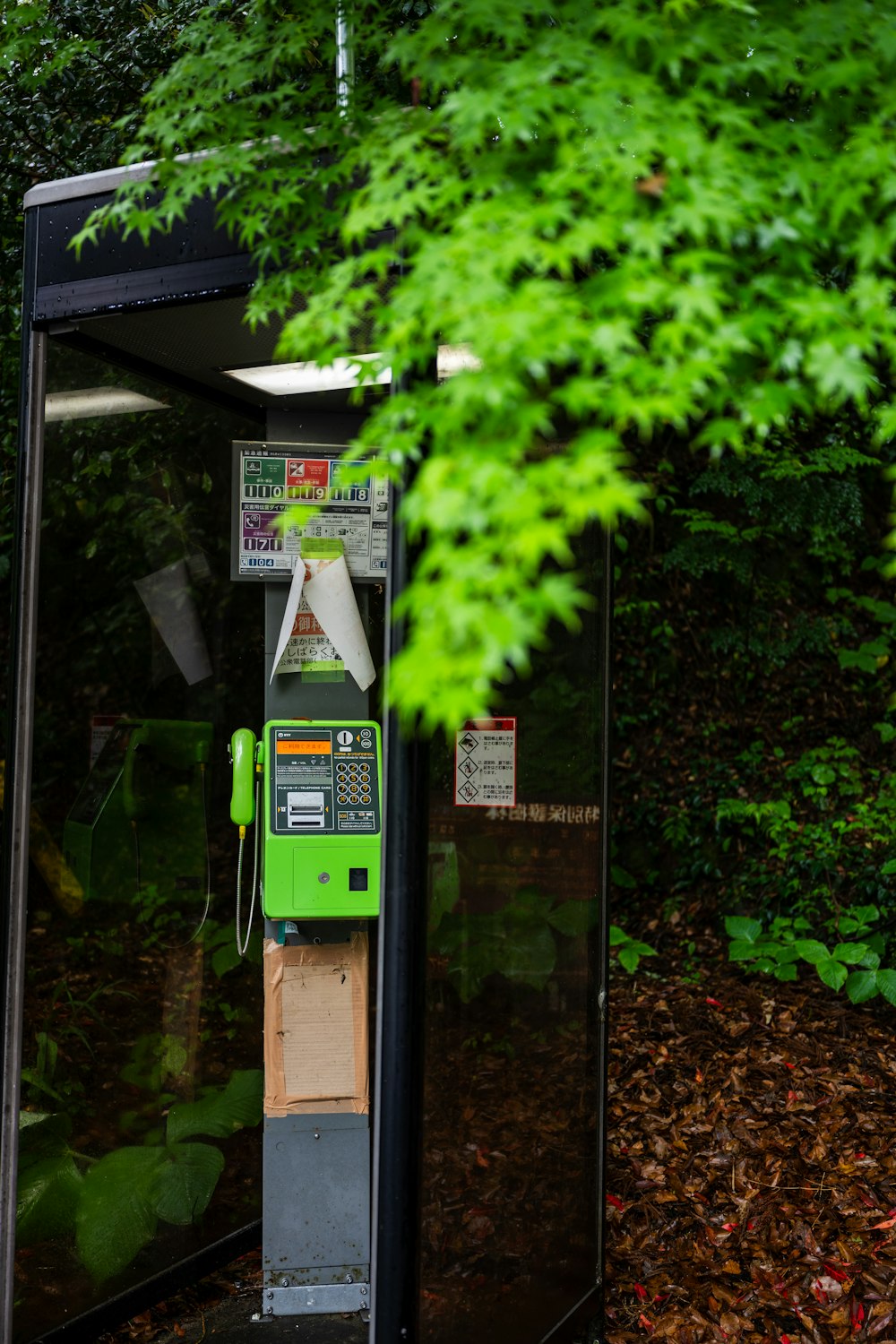 a green and black phone booth in a forest