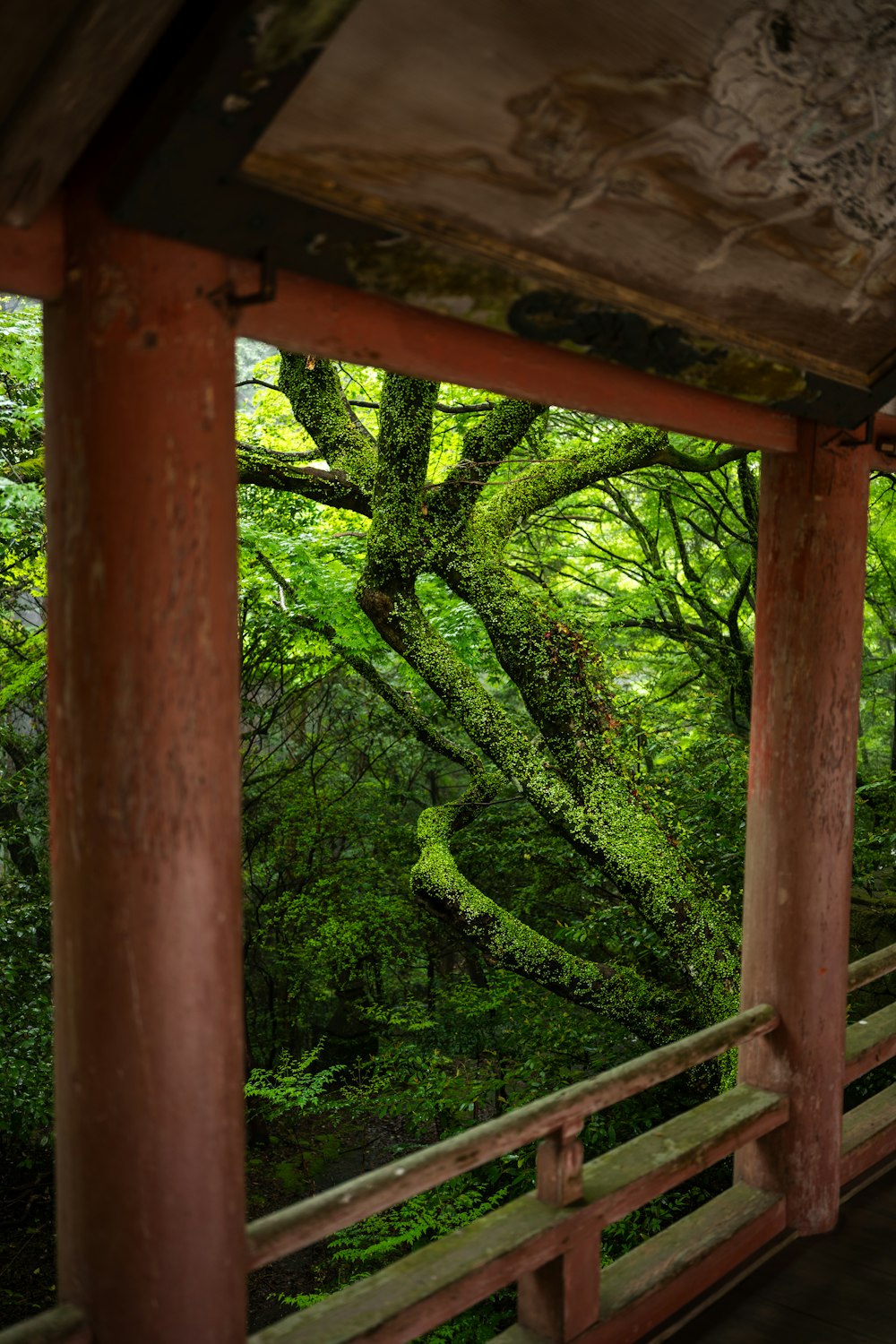 a wooden porch with a tree in the background