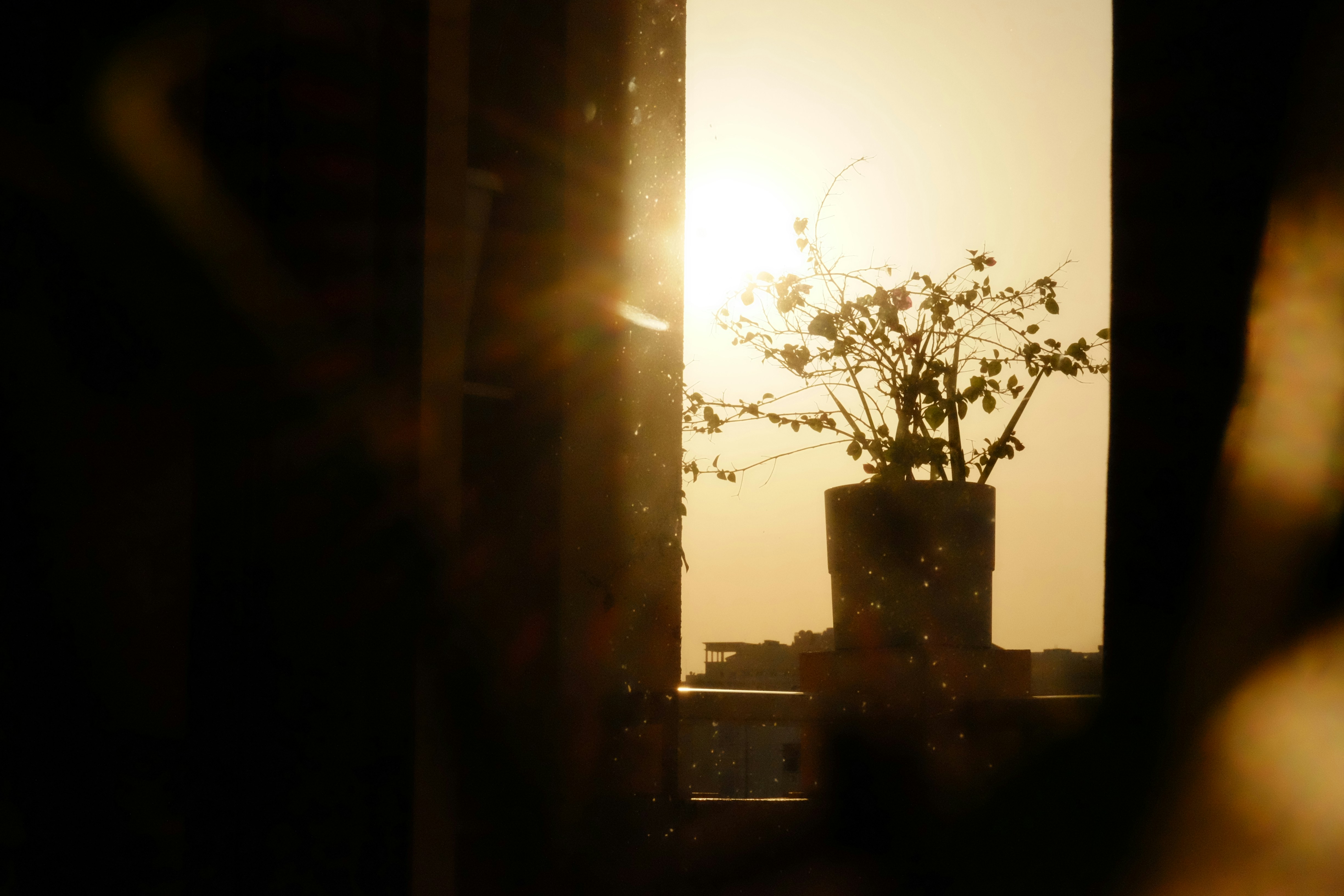 Morning and Evening Routines for Lasting Stress Relief