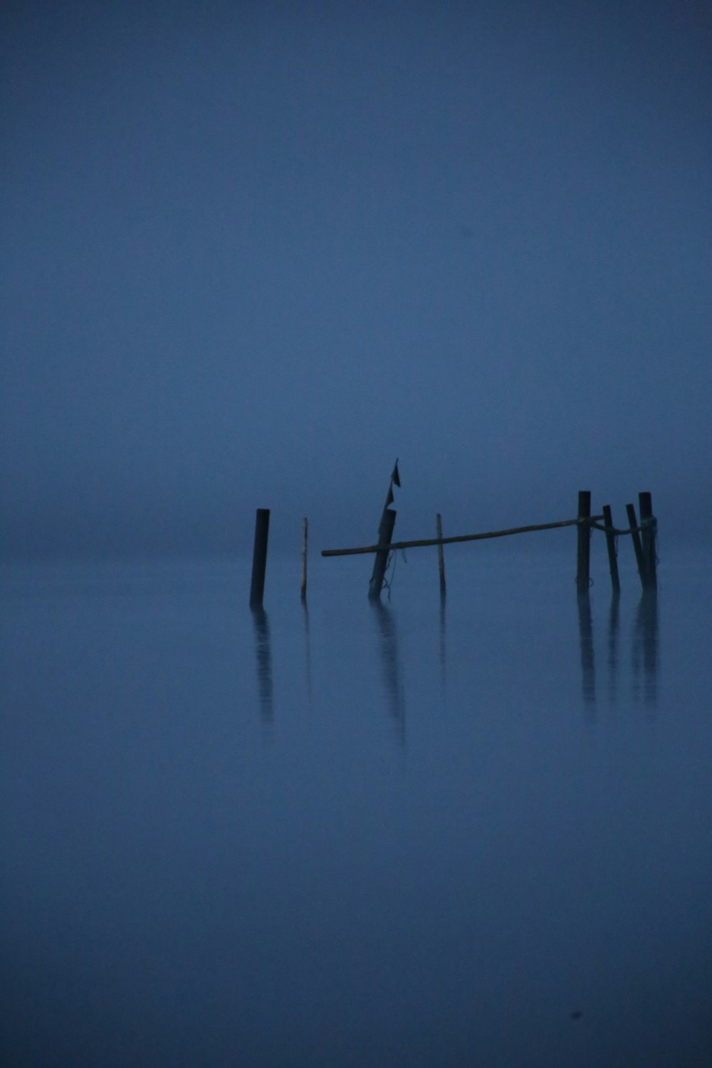 a bird is sitting on a post in the water