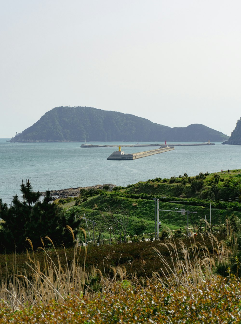 a large body of water sitting next to a lush green hillside