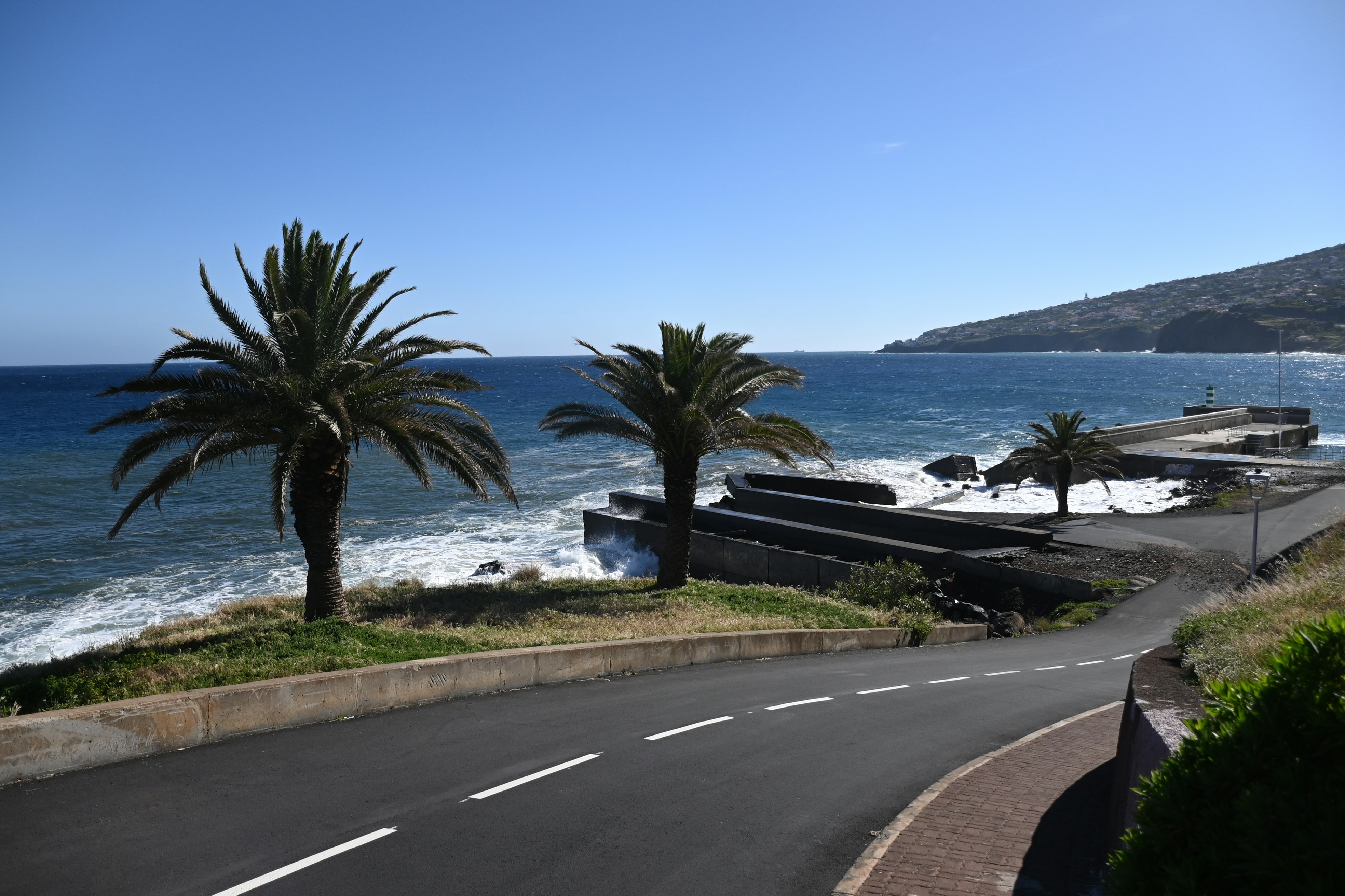 a road next to the ocean with palm trees