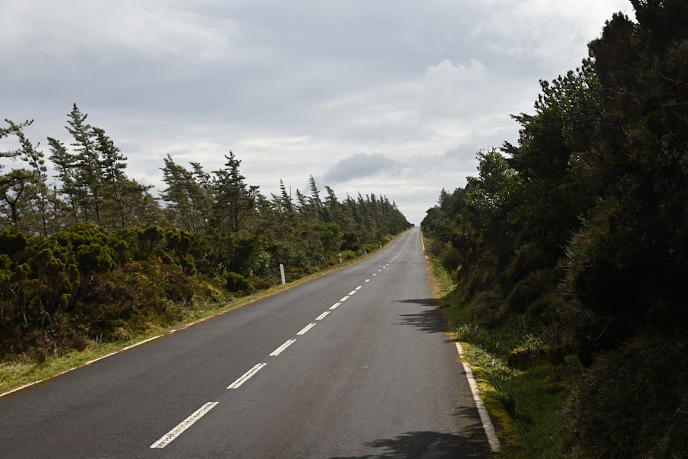 an empty road surrounded by trees and bushes