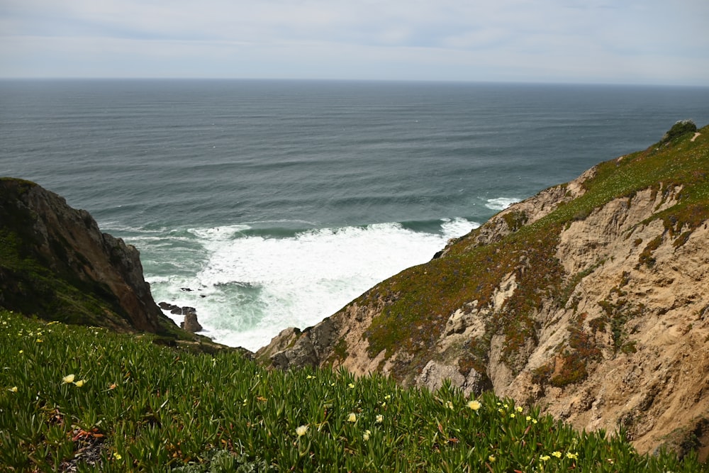 a view of the ocean from the top of a hill