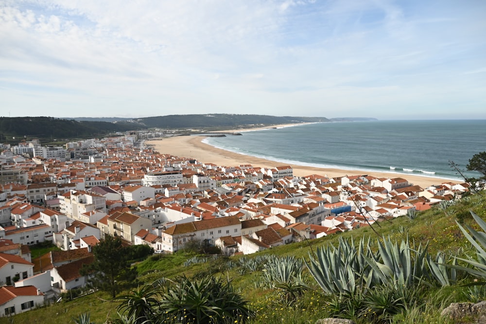 a view of a beach and a city from a hill