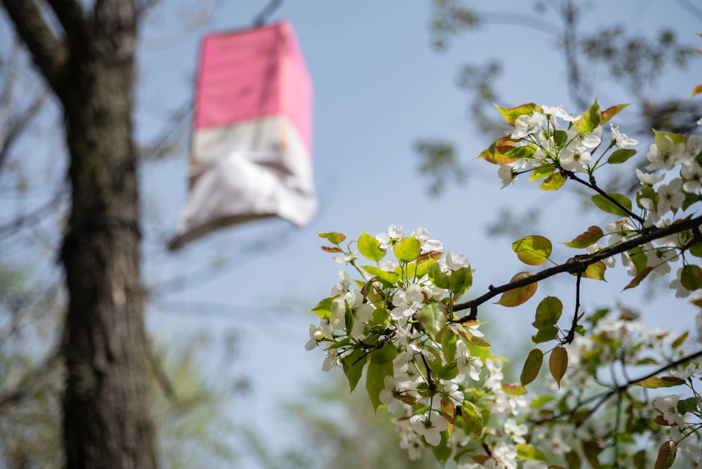 a pink and white flag hanging from a tree