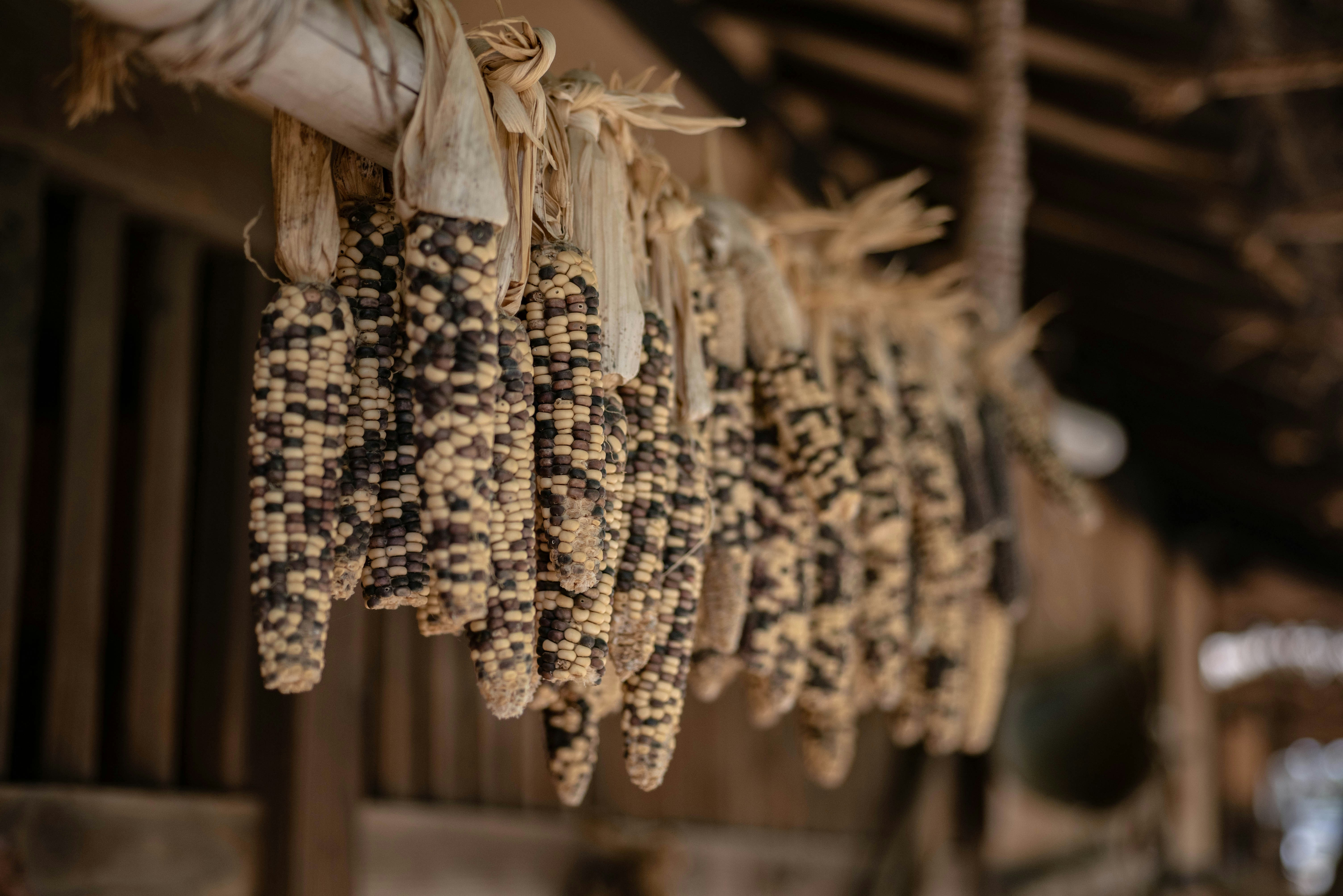 Photo by rays_pickpic