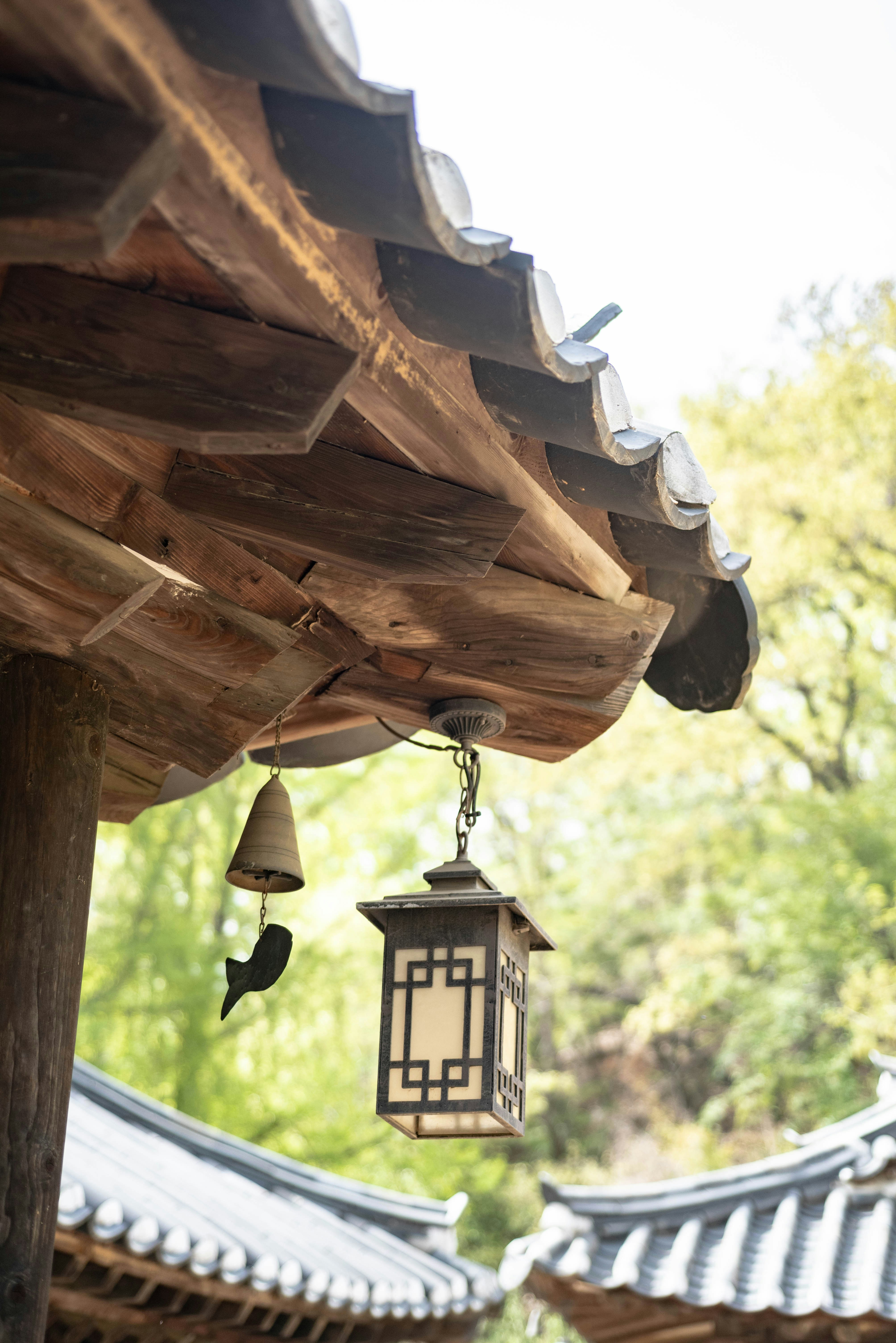 Photo by rays_pickpic