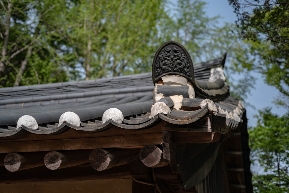 a pair of shoes sitting on top of a roof