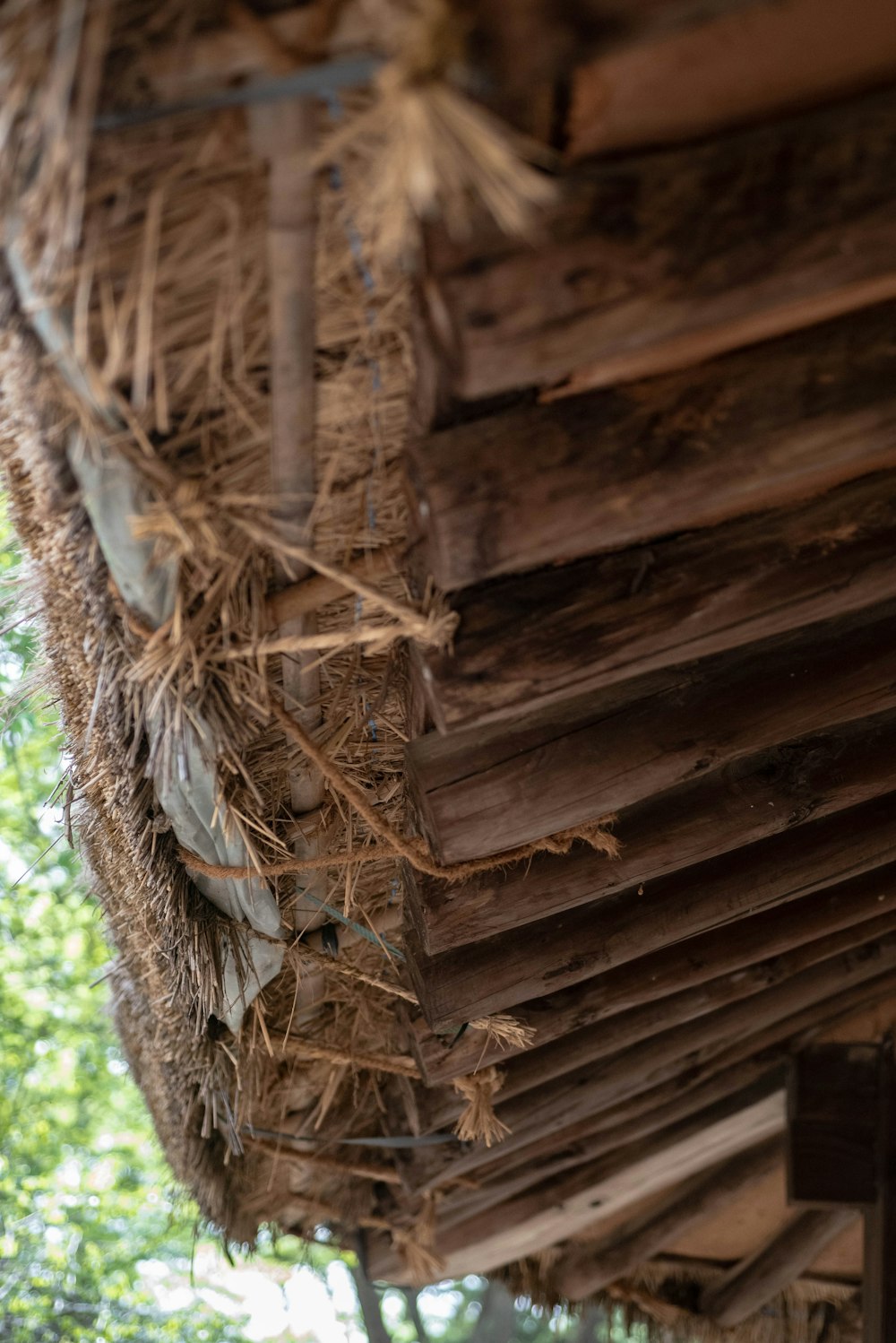 a close up of a wooden structure with a tree in the background