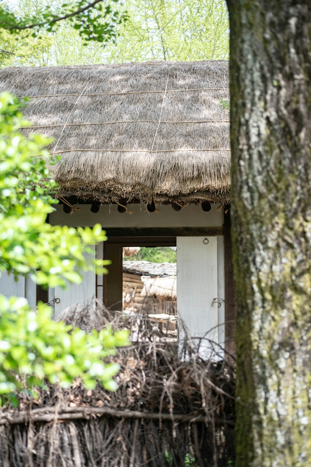 a hut with a thatched roof and a door