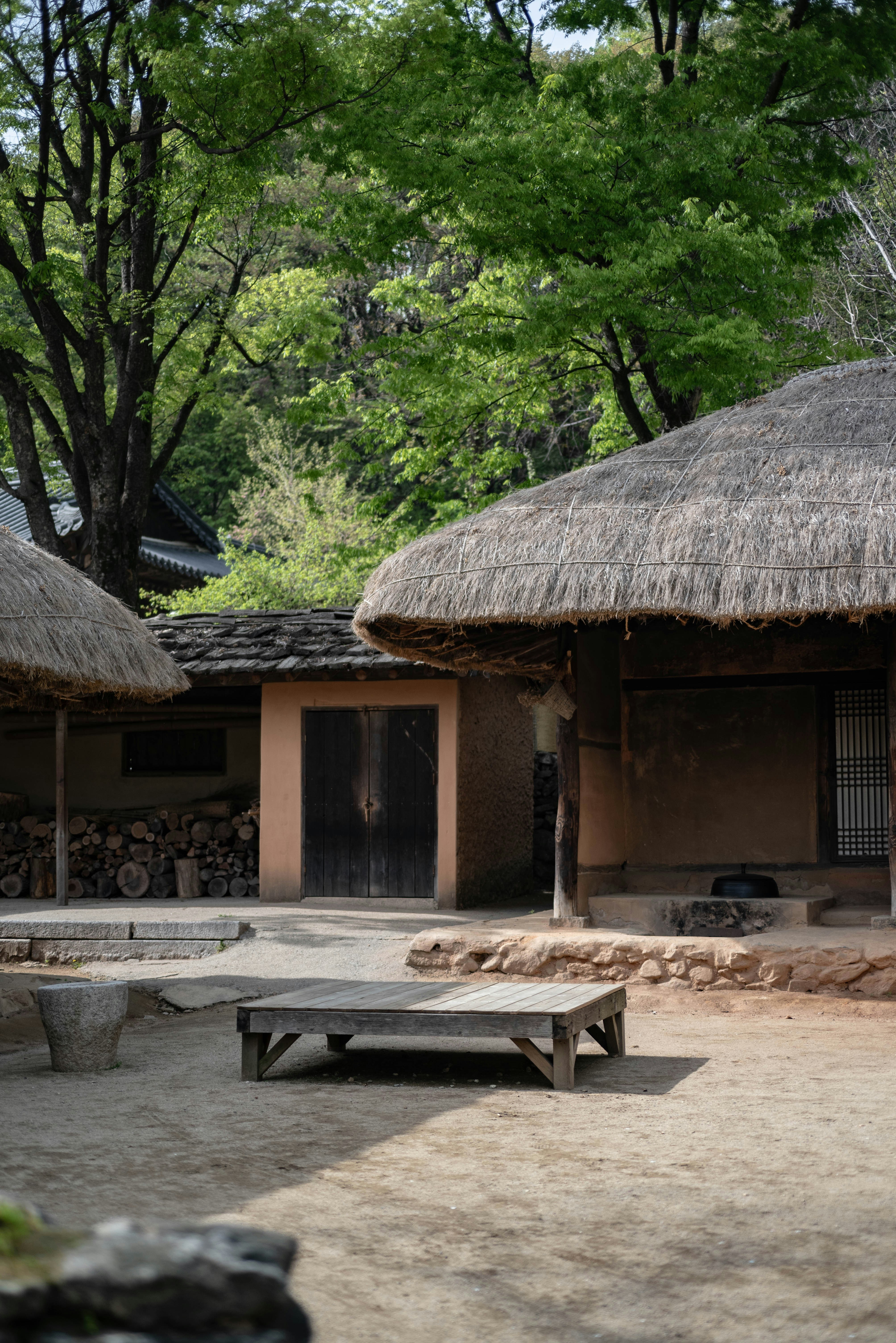 Photo by rays_pickpic