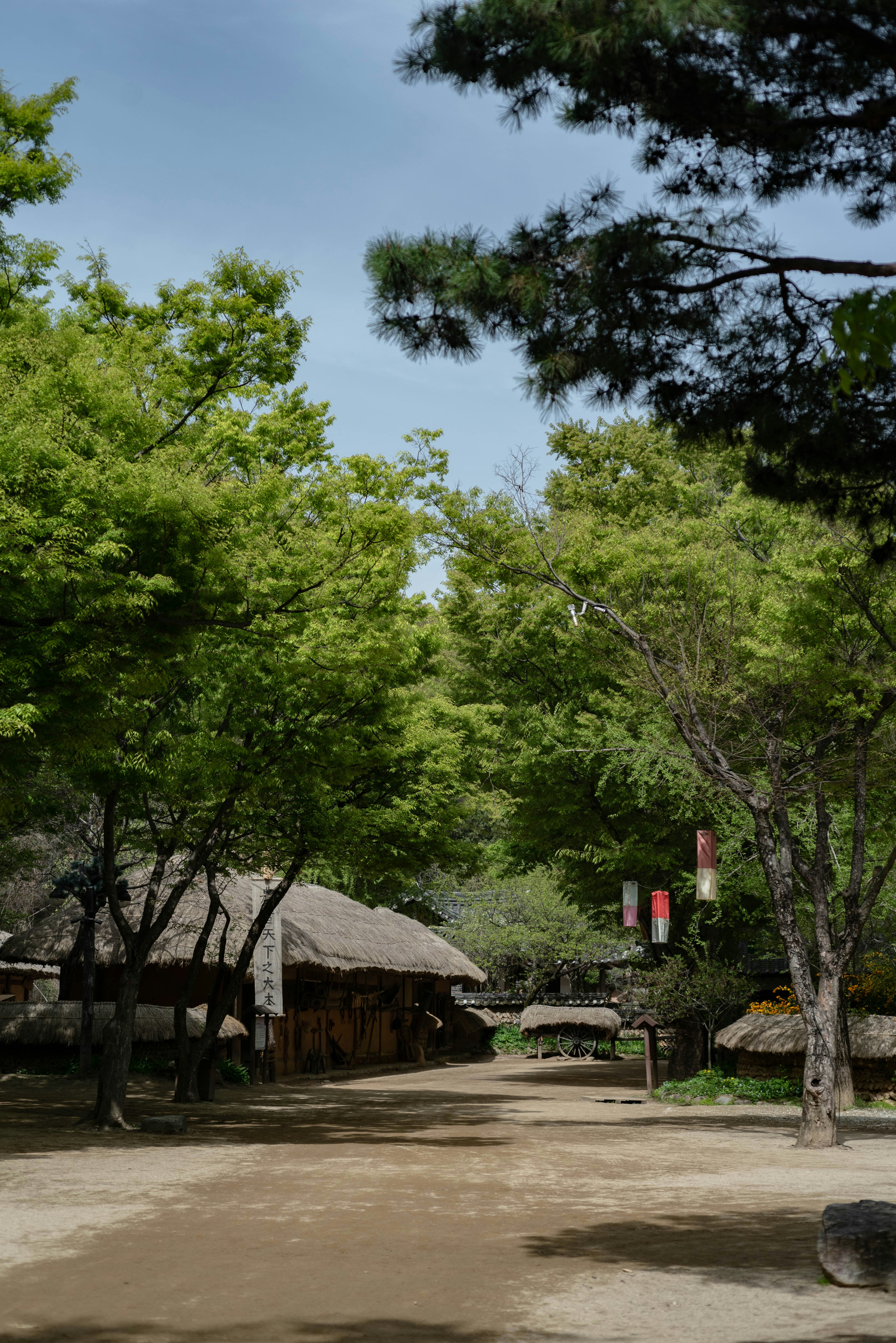 Photo by rays_pickpic