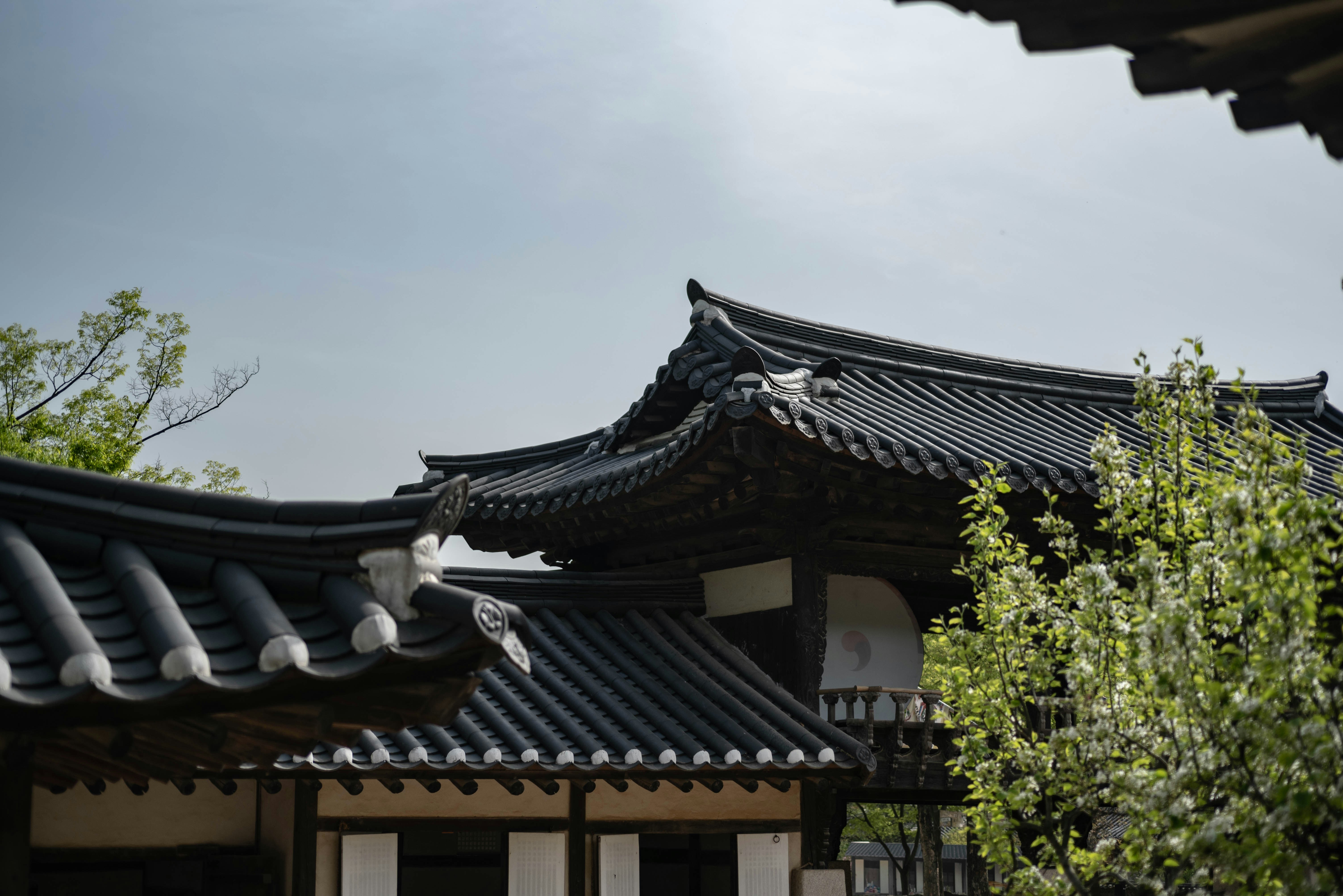 Photo by rays_pickpic