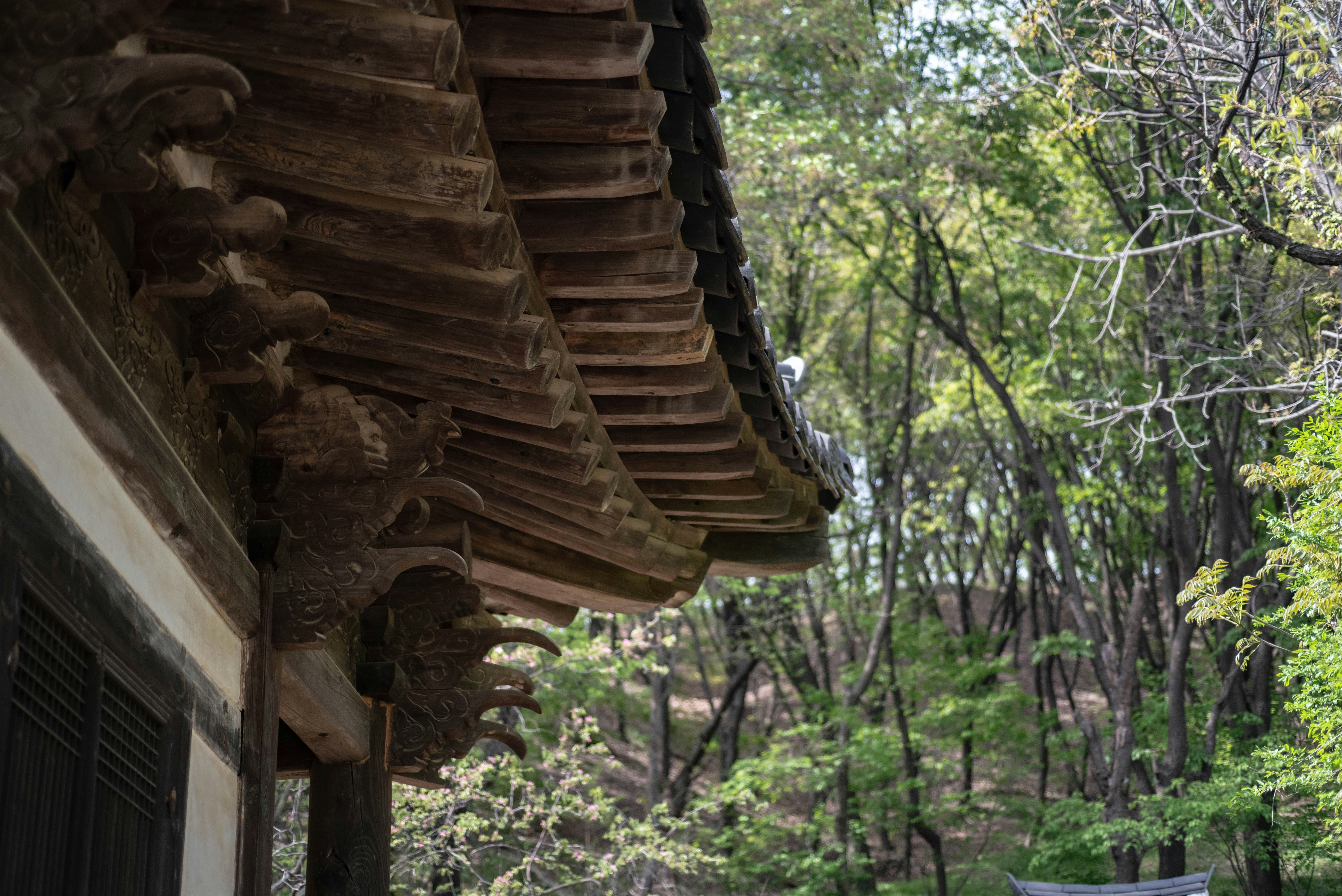 Photo by rays_pickpic