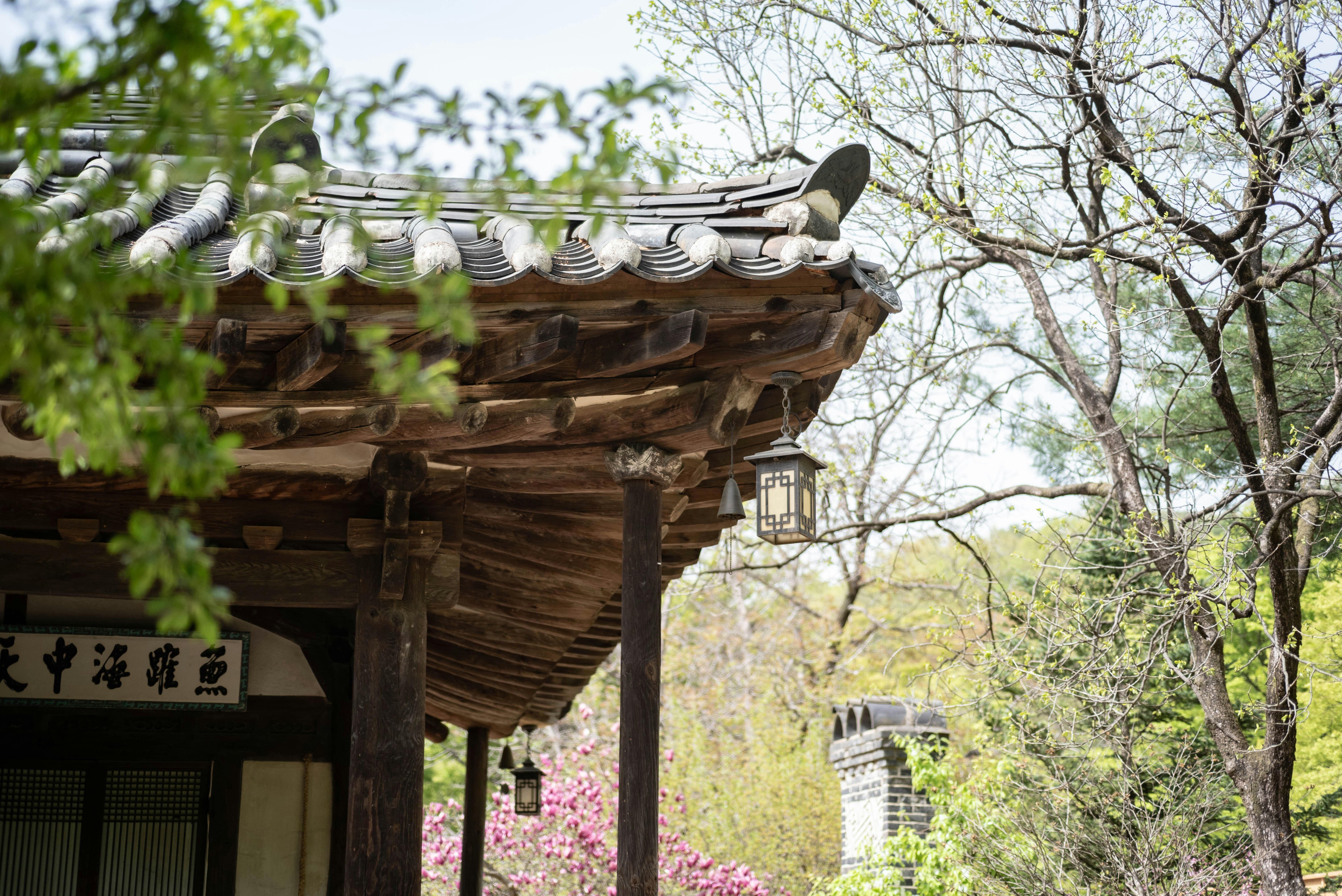 Photo by rays_pickpic