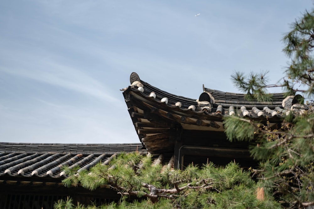 the roof of a building with a pine tree in front of it