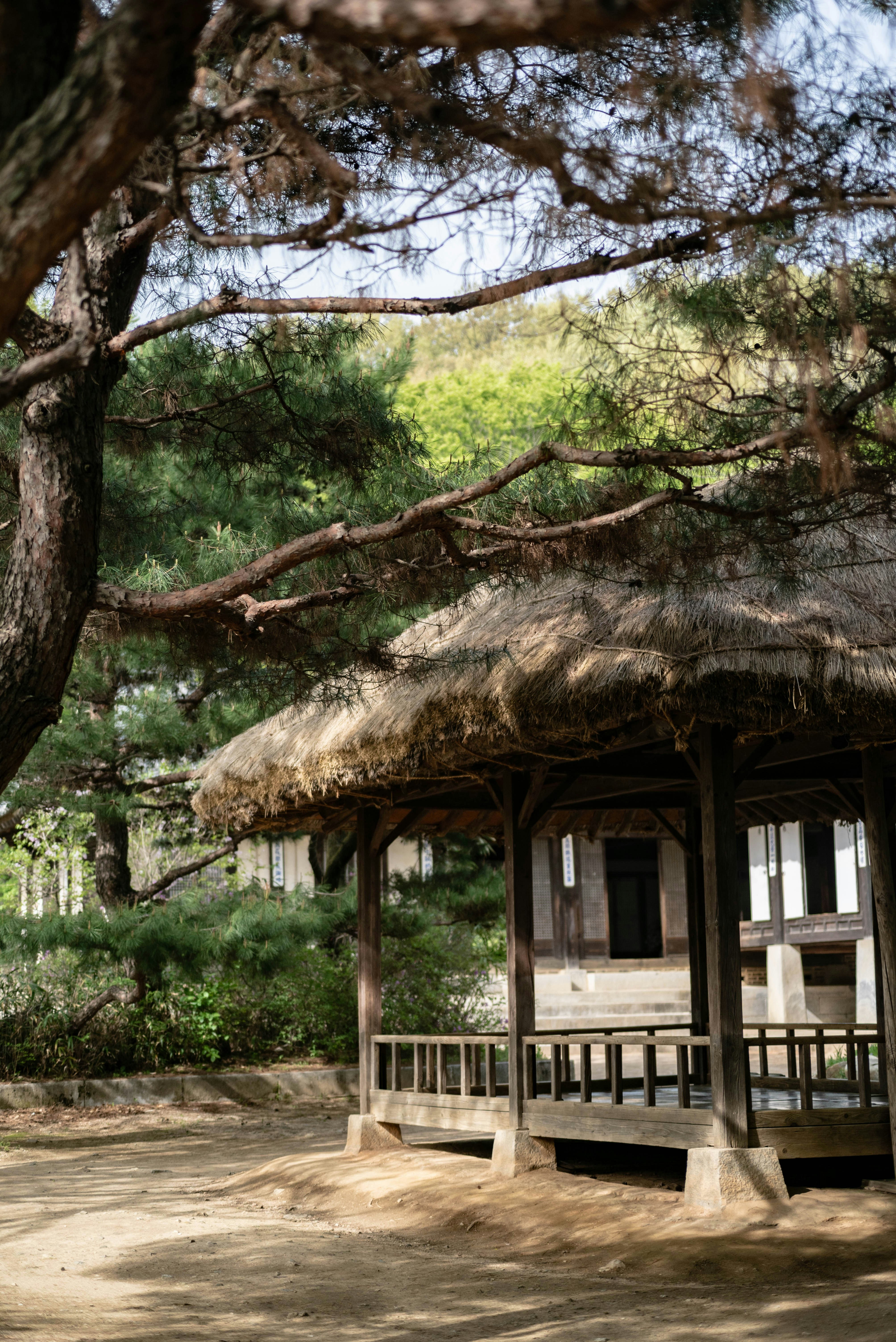 Photo by rays_pickpic