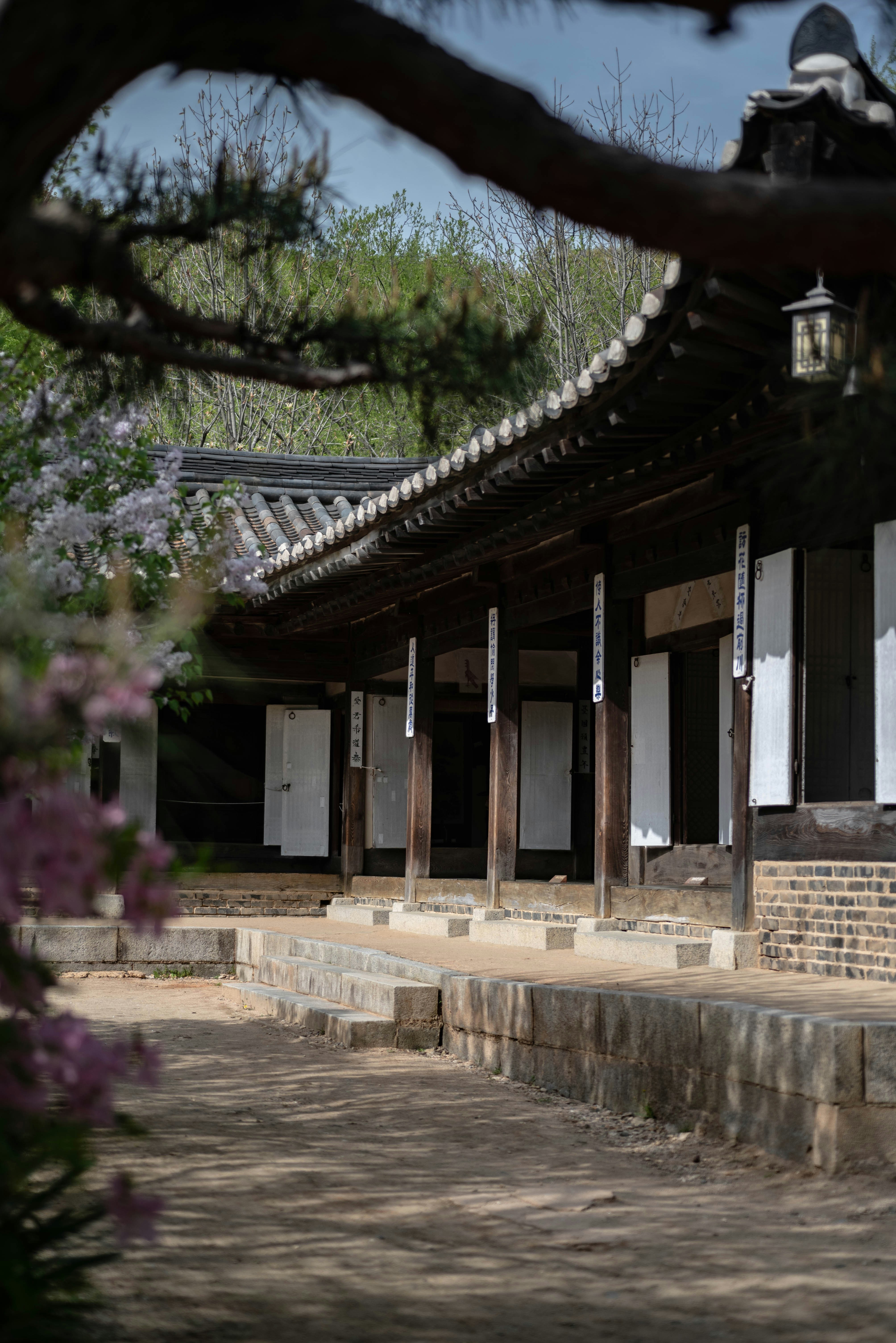 Photo by rays_pickpic