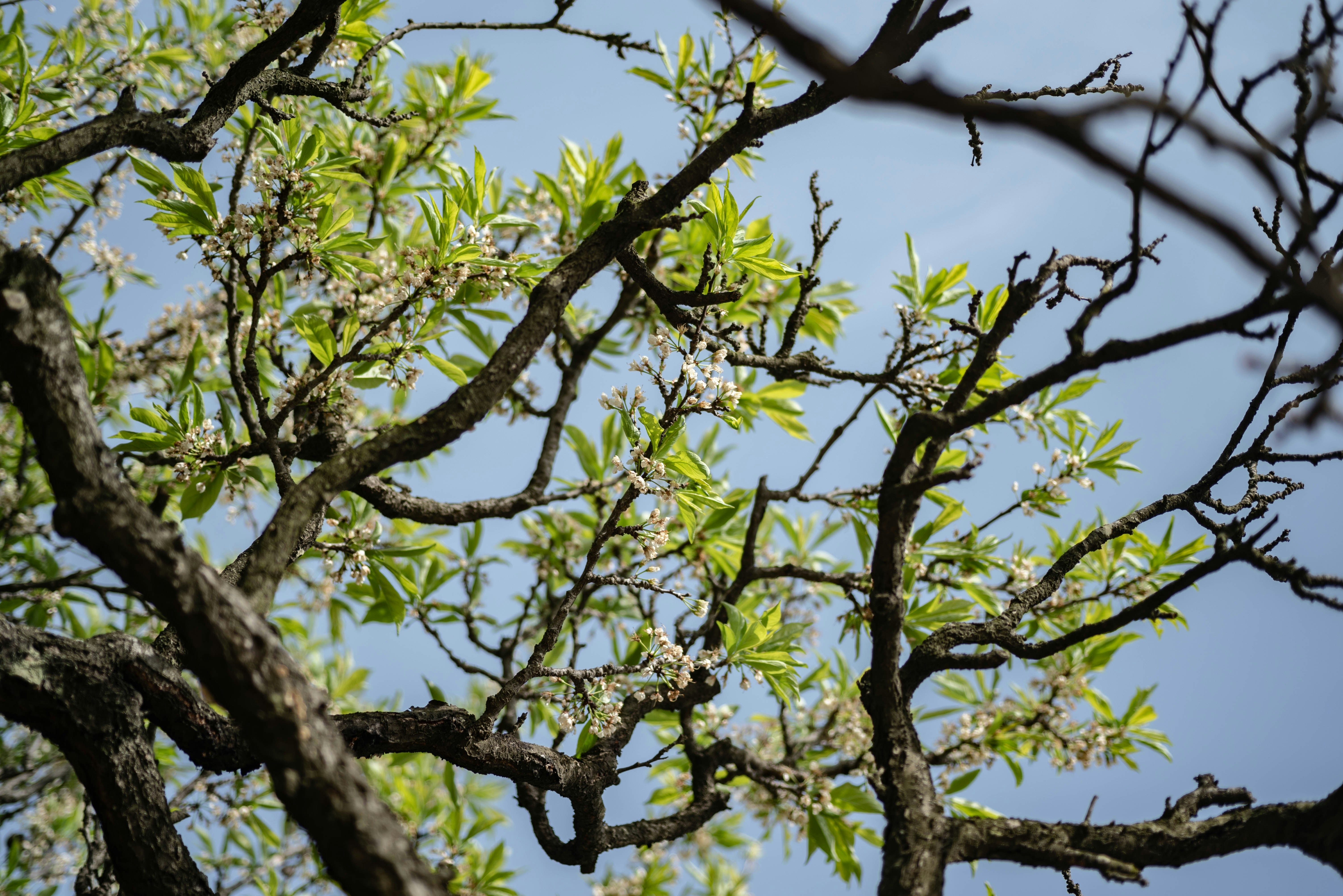 Photo by rays_pickpic